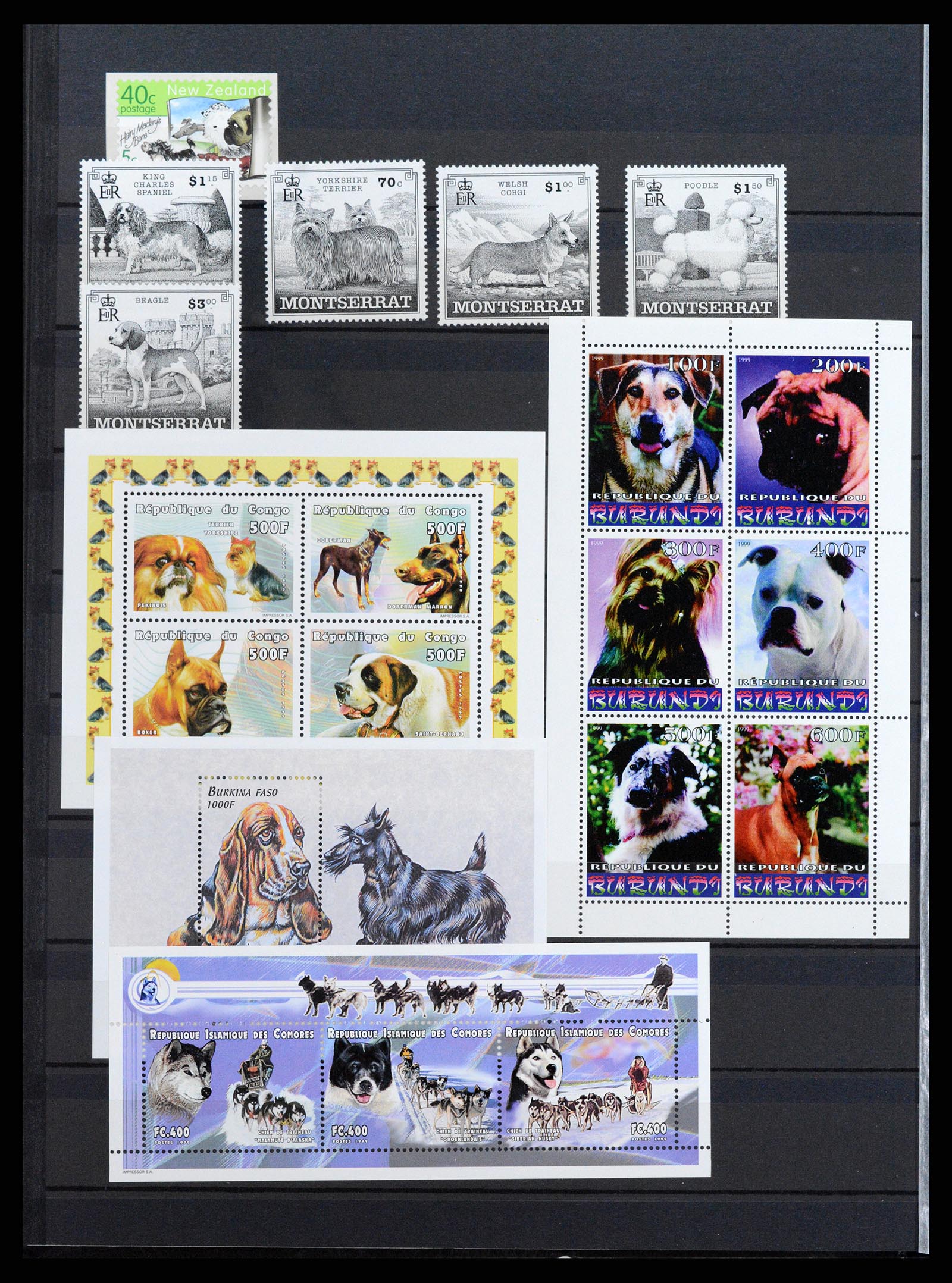 37671 096 - Stamp collection 37671 Thematics dogs 1950-2010.
