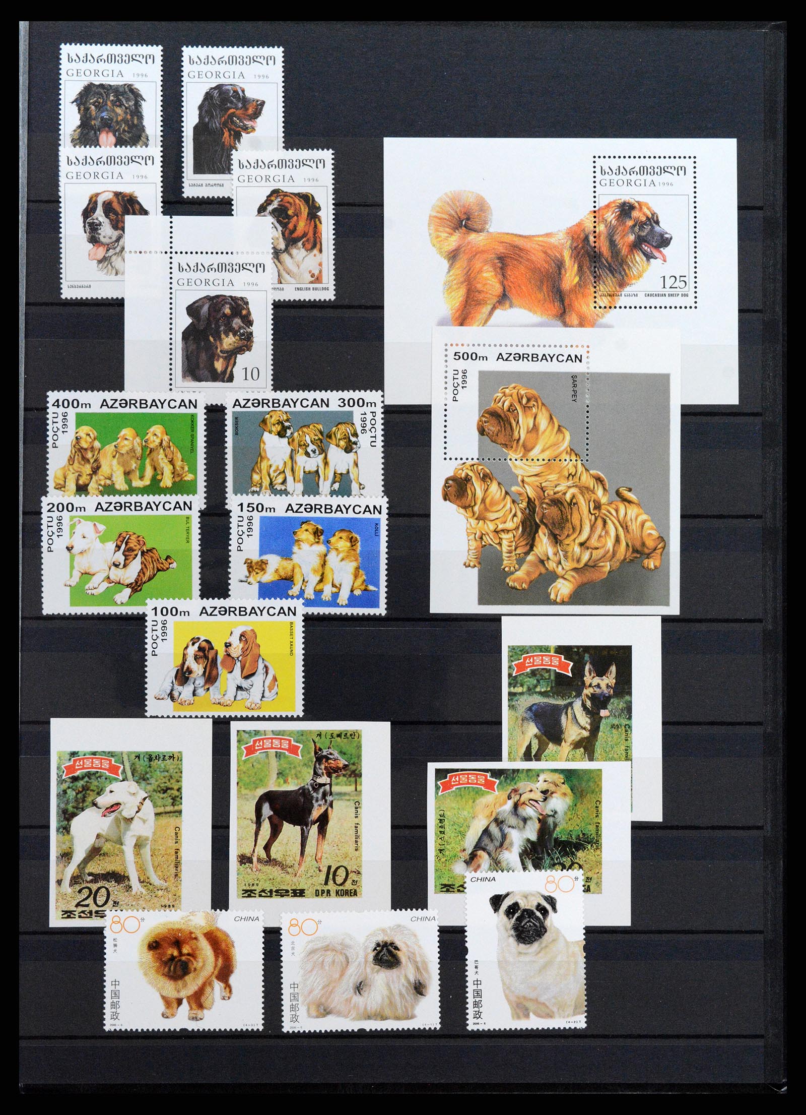 37671 097 - Stamp collection 37671 Thematics dogs 1950-2010.
