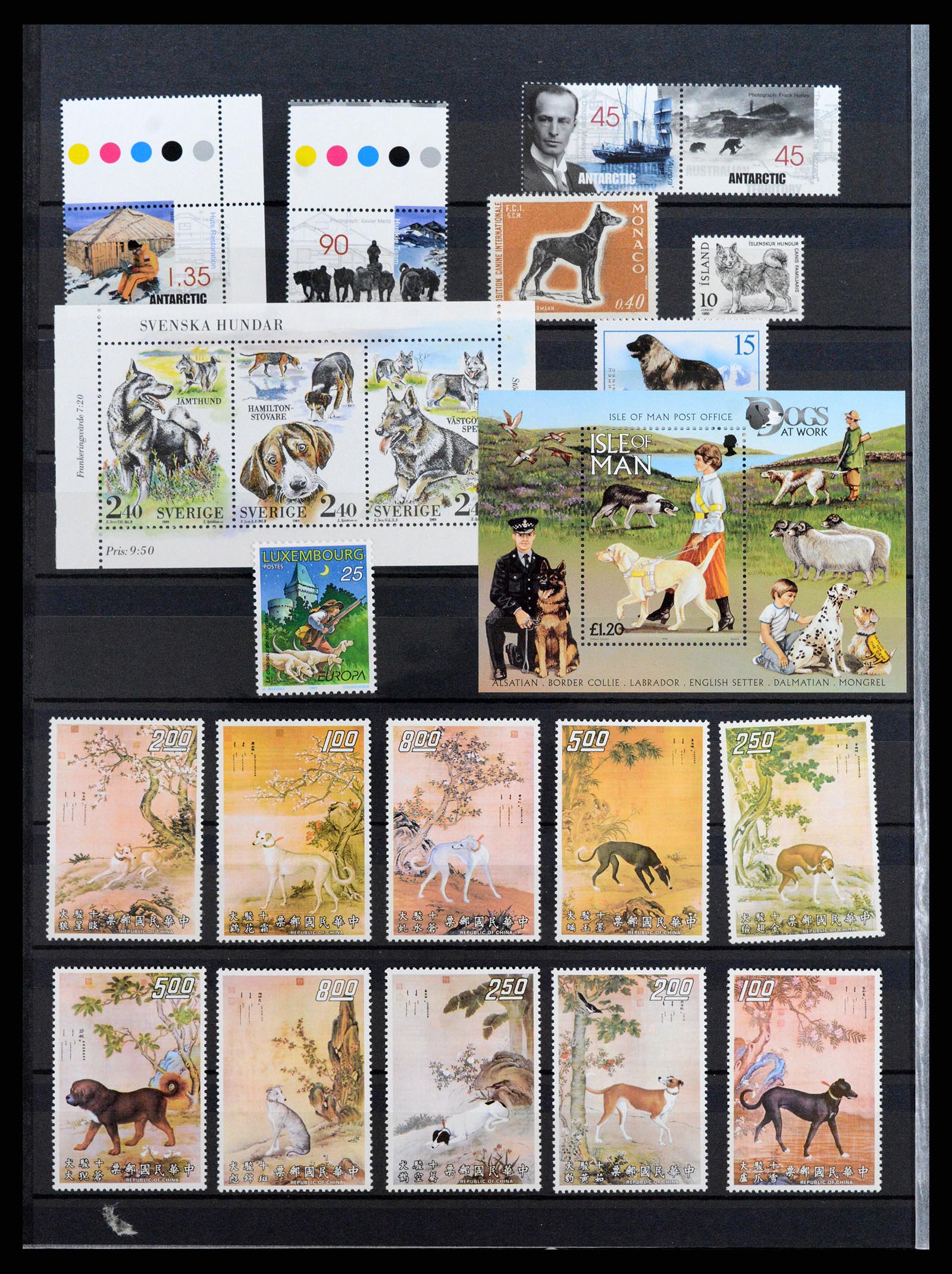 37671 102 - Postzegelverzameling 37671 Motief honden 1950-2010.
