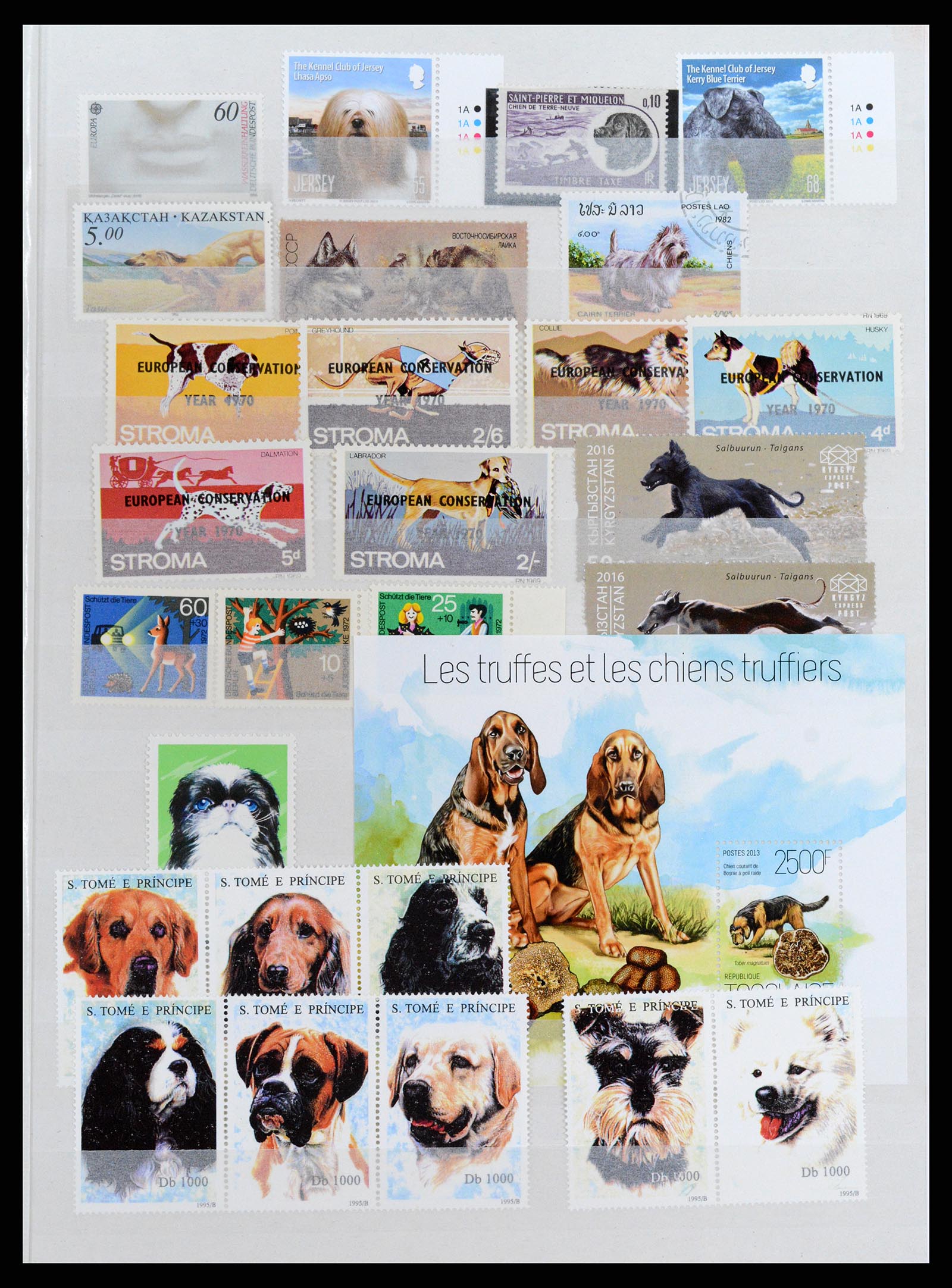 37671 107 - Postzegelverzameling 37671 Motief honden 1950-2010.
