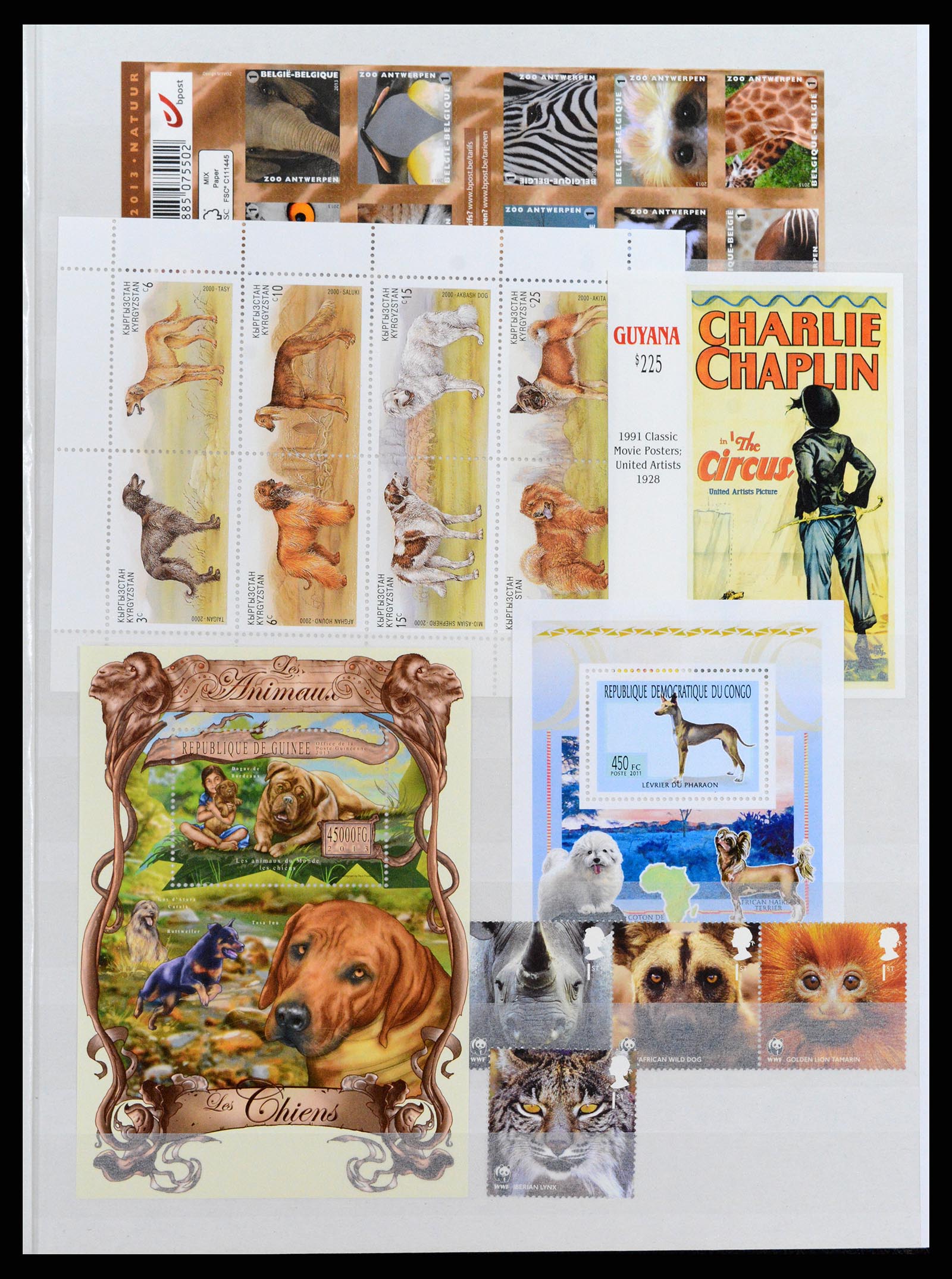 37671 113 - Postzegelverzameling 37671 Motief honden 1950-2010.