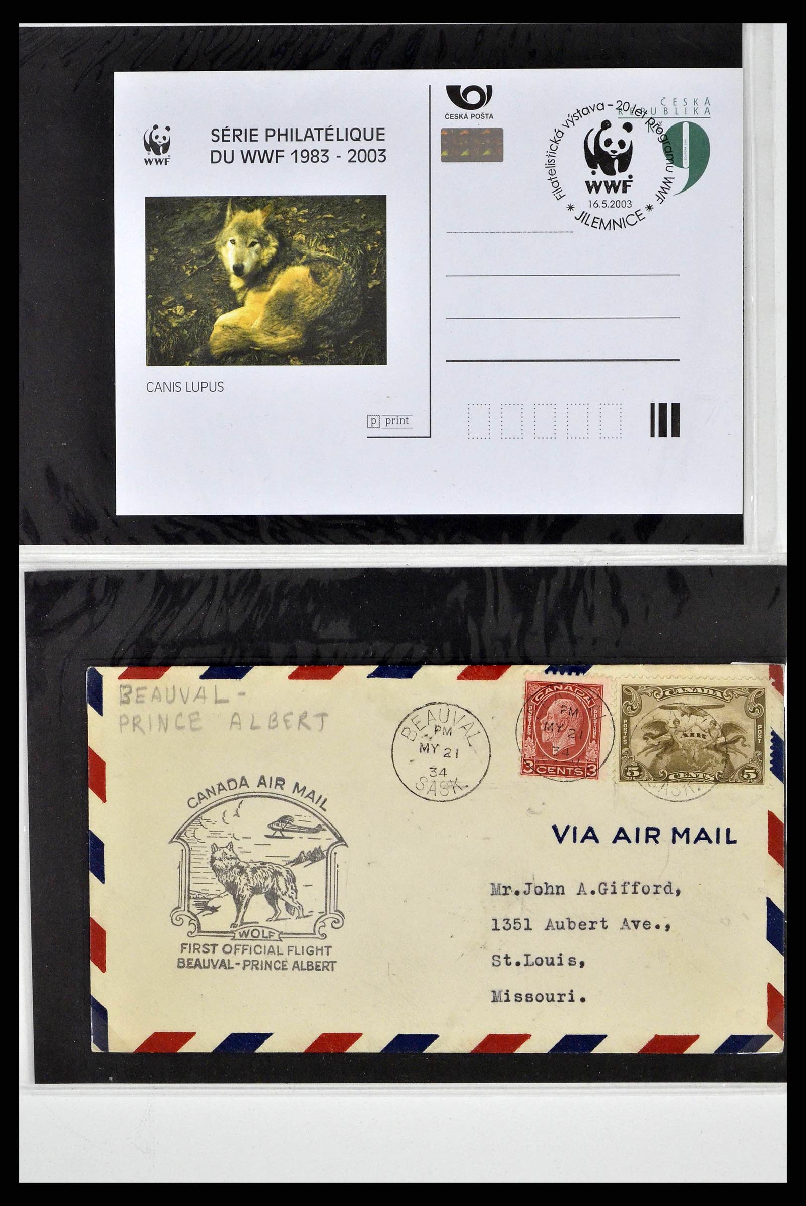 37673 0003 - Postzegelverzameling 37673 Motief honden brieven 1900-2000.