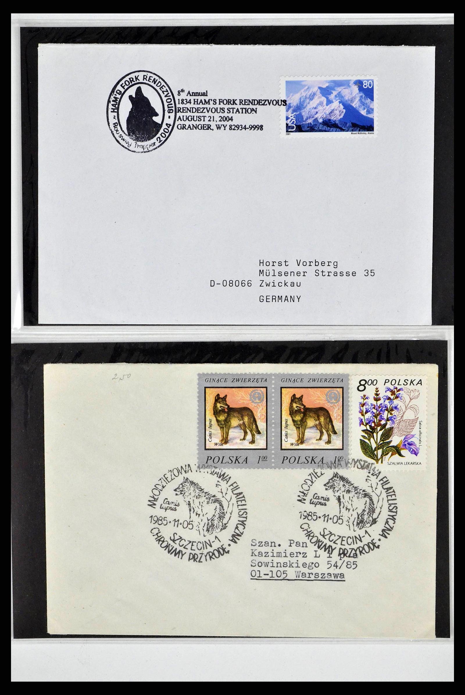 37673 0007 - Postzegelverzameling 37673 Motief honden brieven 1900-2000.