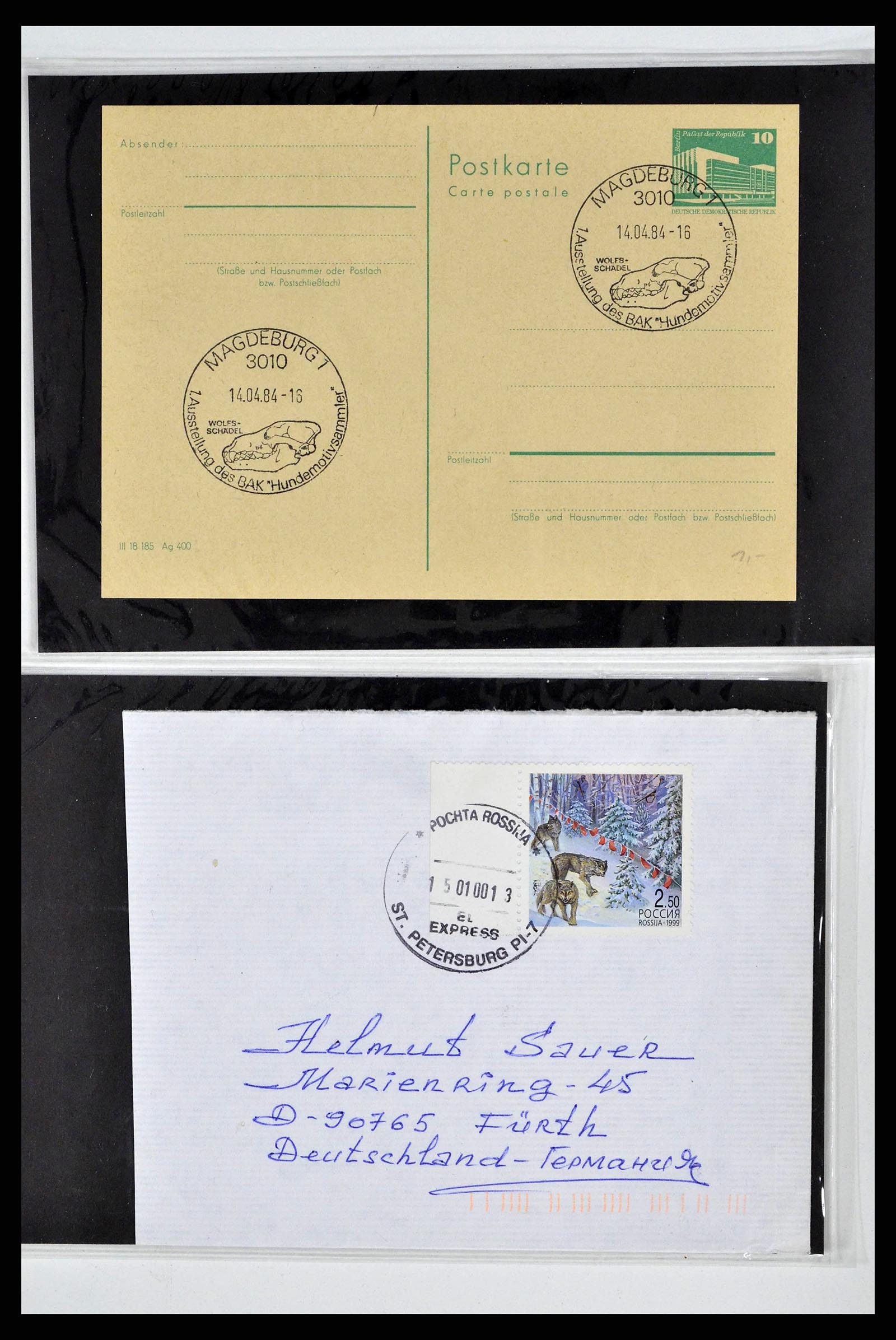 37673 0009 - Postzegelverzameling 37673 Motief honden brieven 1900-2000.