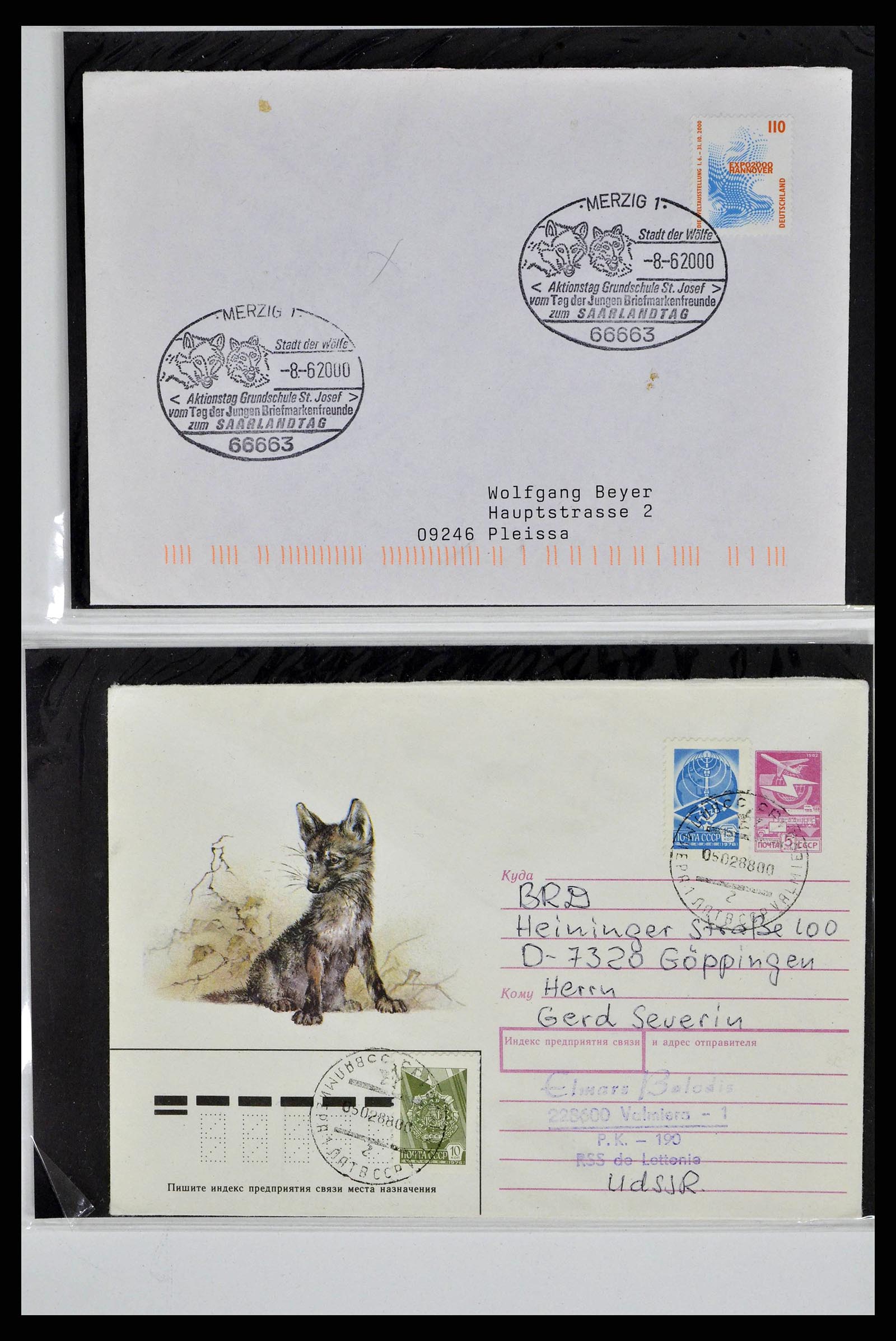 37673 0011 - Postzegelverzameling 37673 Motief honden brieven 1900-2000.