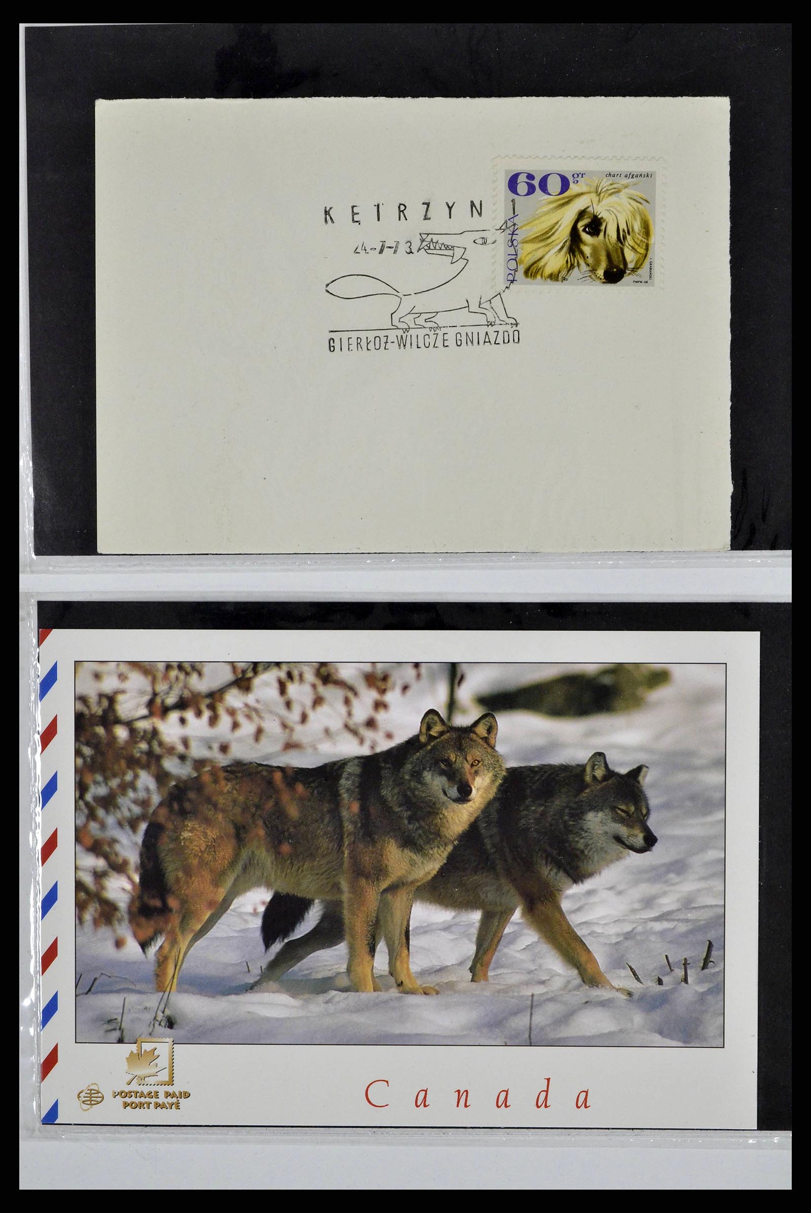 37673 0014 - Postzegelverzameling 37673 Motief honden brieven 1900-2000.