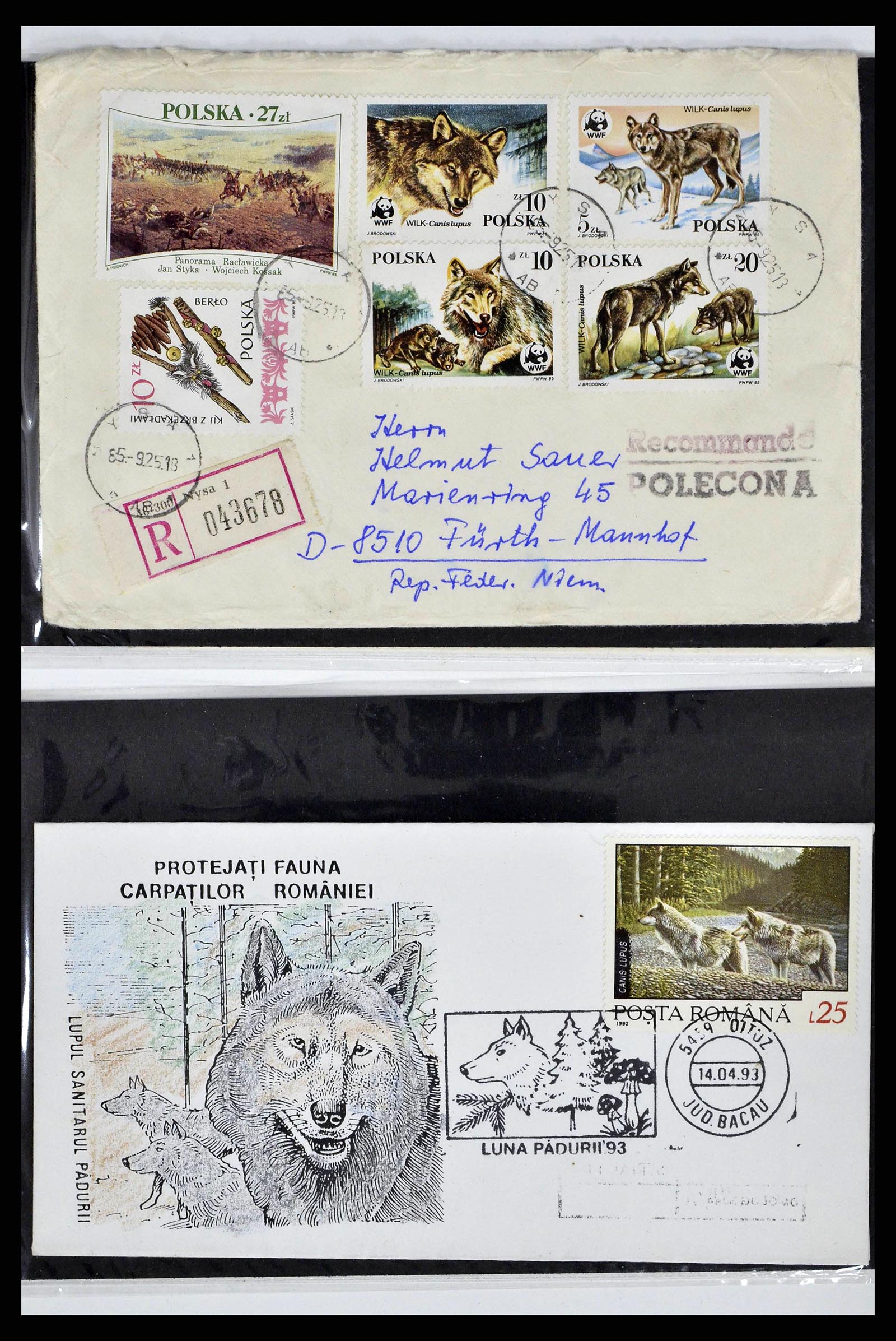 37673 0015 - Postzegelverzameling 37673 Motief honden brieven 1900-2000.