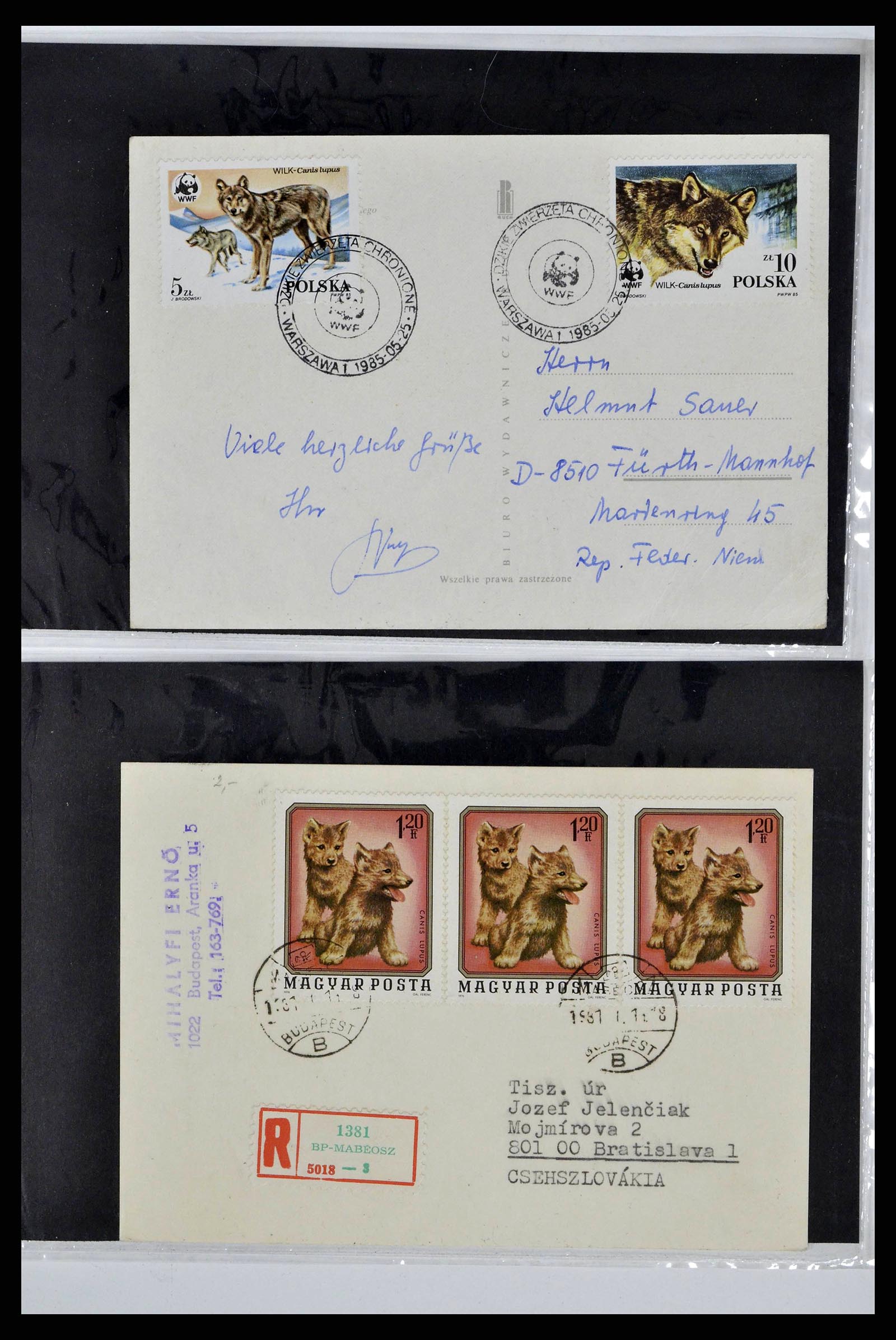 37673 0017 - Postzegelverzameling 37673 Motief honden brieven 1900-2000.