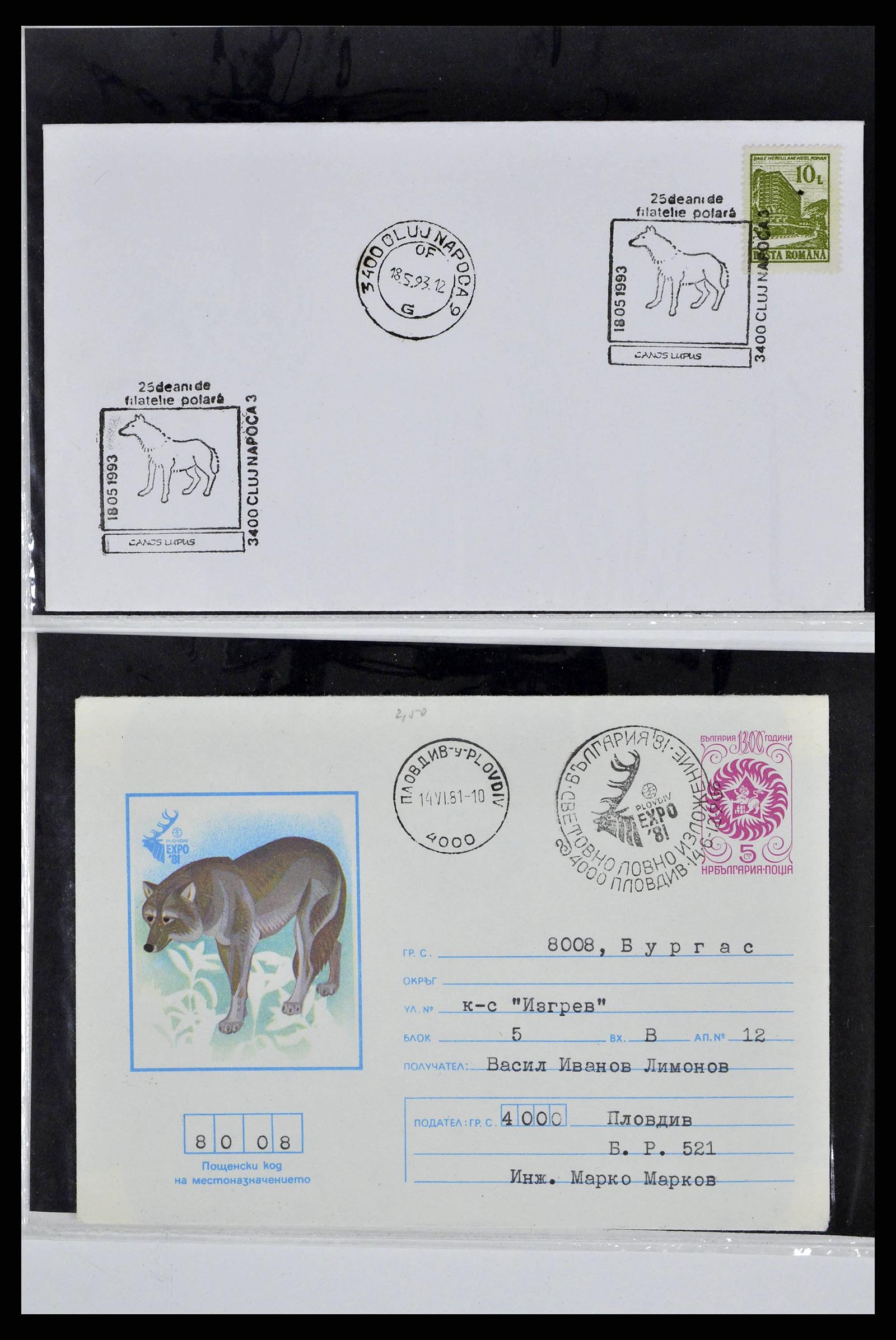 37673 0018 - Stamp collection 37673 Thematics dogs covers 1900-2000.
