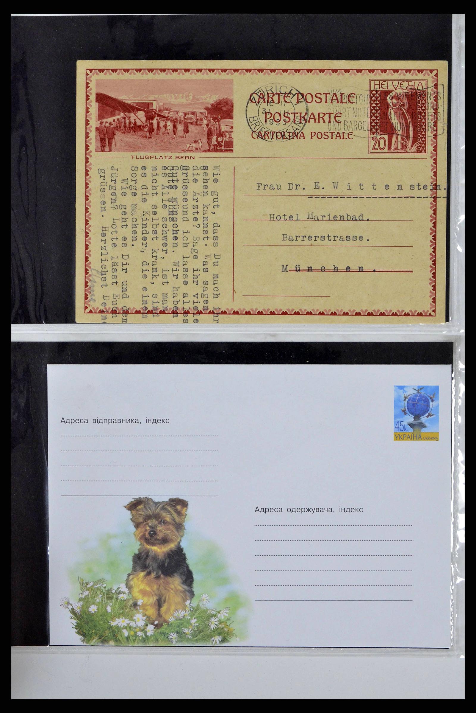37673 0051 - Stamp collection 37673 Thematics dogs covers 1900-2000.