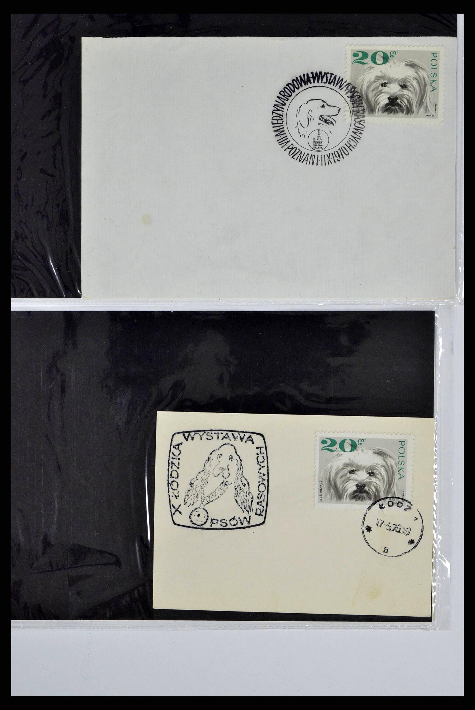 37673 0055 - Stamp collection 37673 Thematics dogs covers 1900-2000.