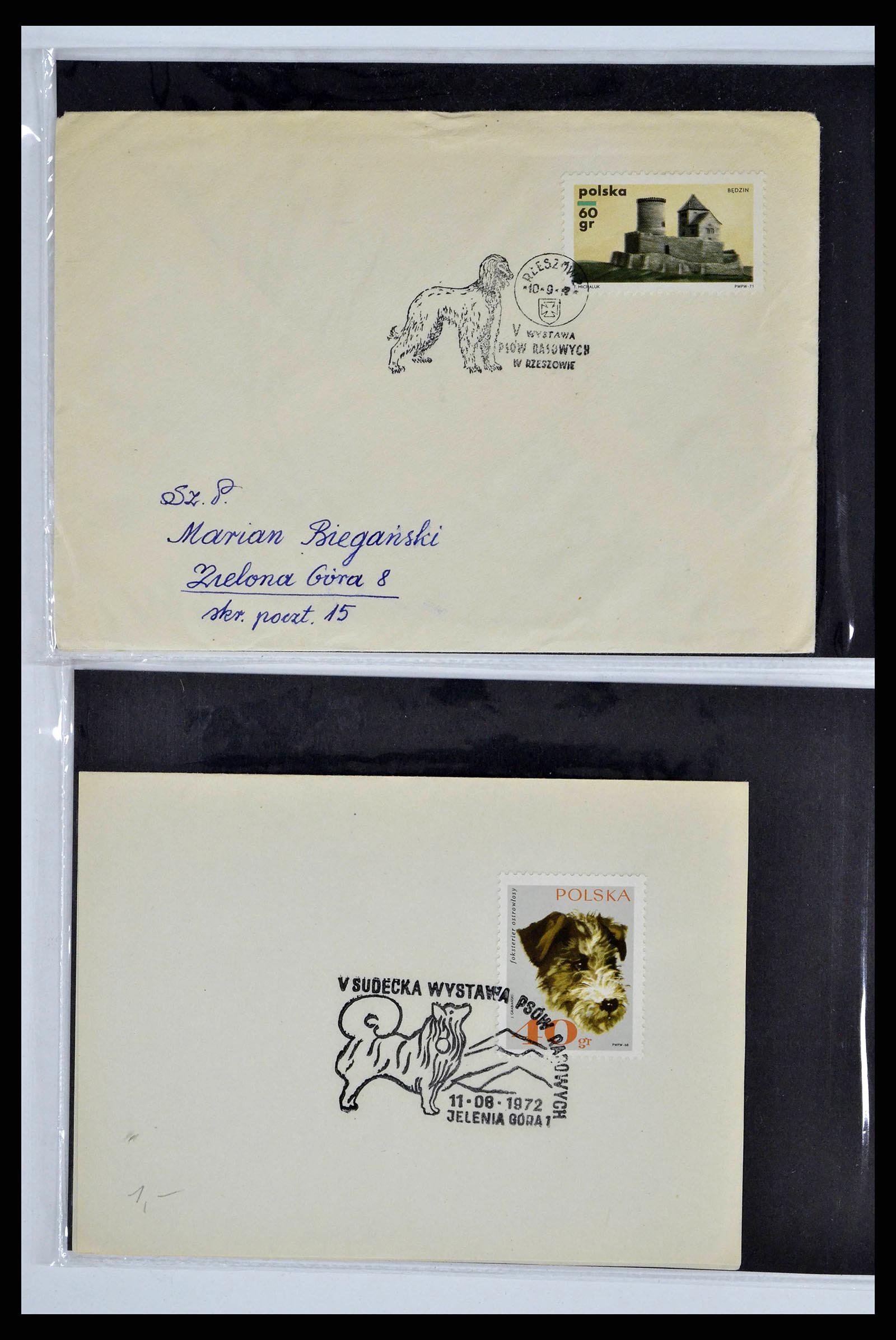 37673 0058 - Stamp collection 37673 Thematics dogs covers 1900-2000.