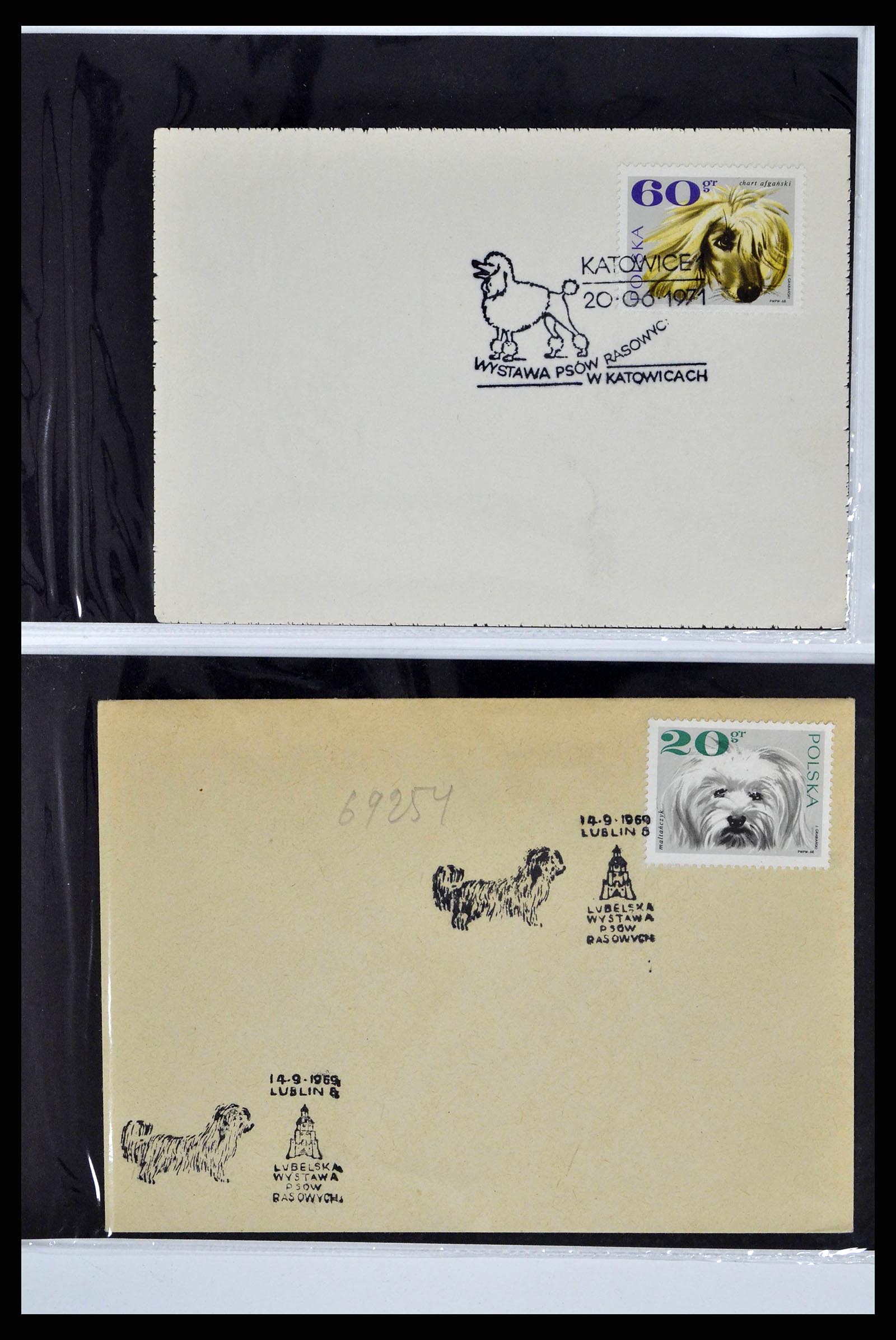 37673 0059 - Stamp collection 37673 Thematics dogs covers 1900-2000.
