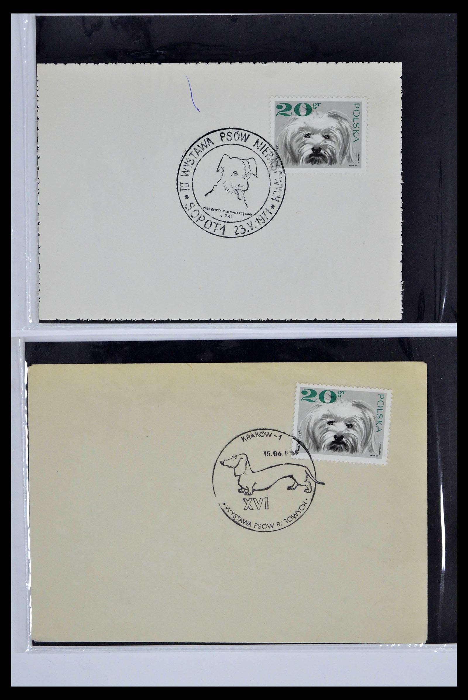 37673 0060 - Stamp collection 37673 Thematics dogs covers 1900-2000.