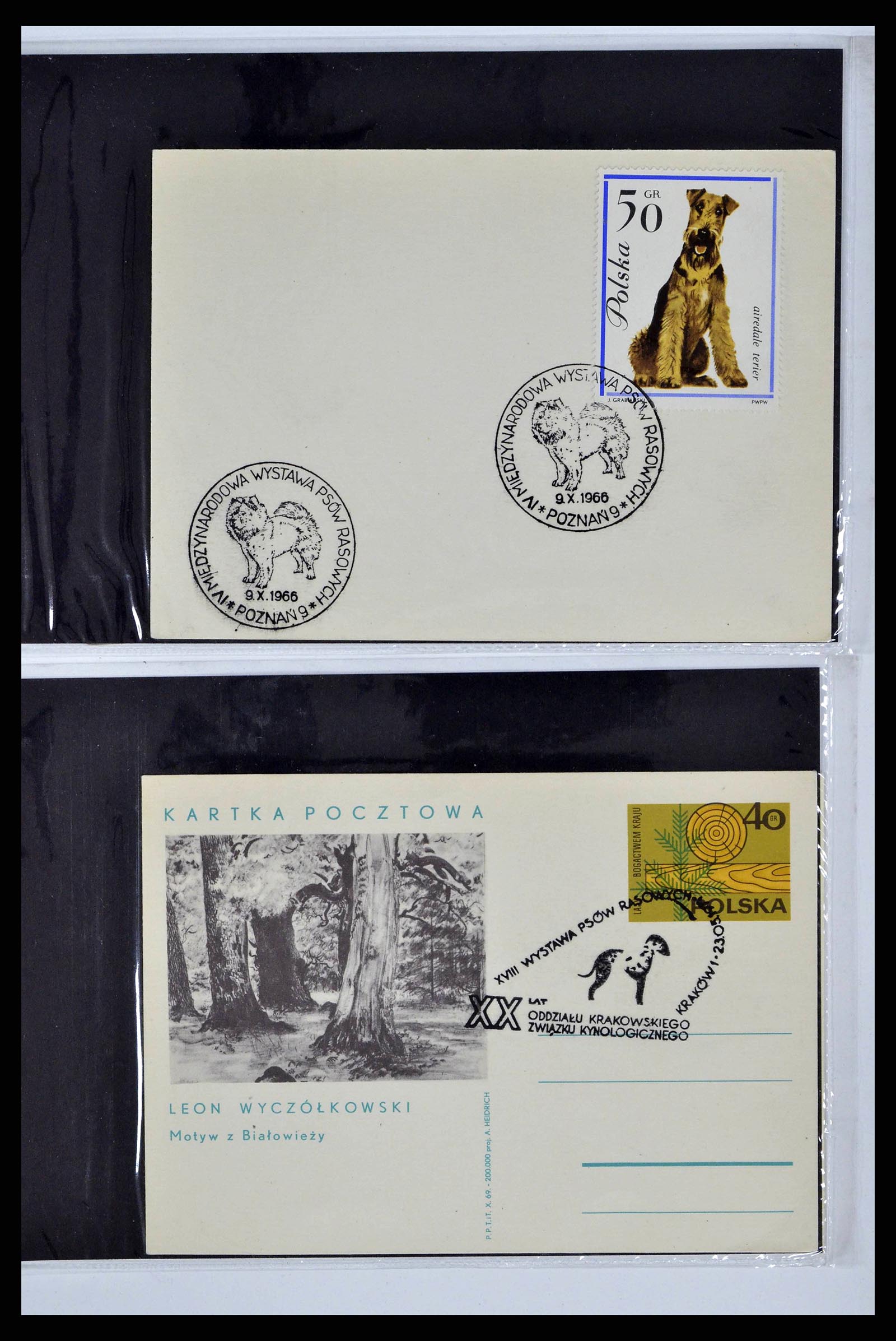 37673 0061 - Stamp collection 37673 Thematics dogs covers 1900-2000.