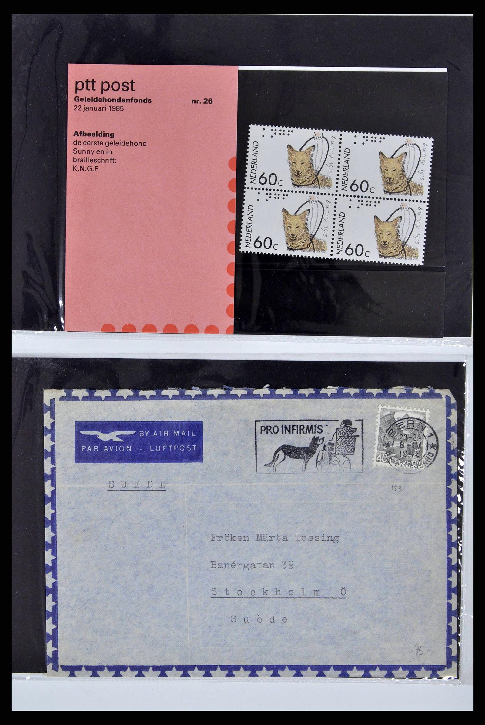 37673 0065 - Stamp collection 37673 Thematics dogs covers 1900-2000.