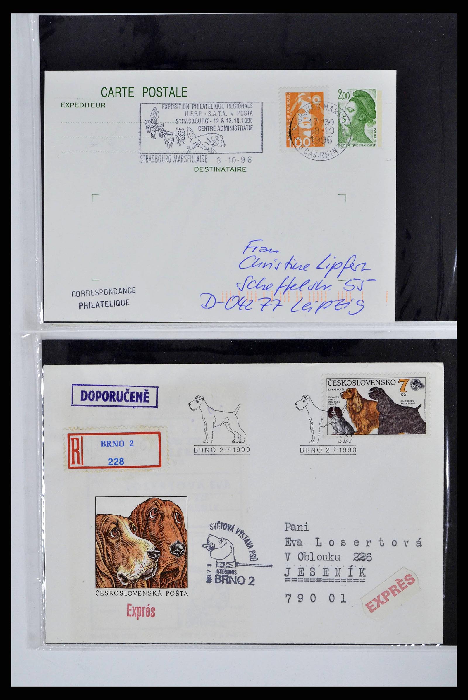 37673 0068 - Stamp collection 37673 Thematics dogs covers 1900-2000.