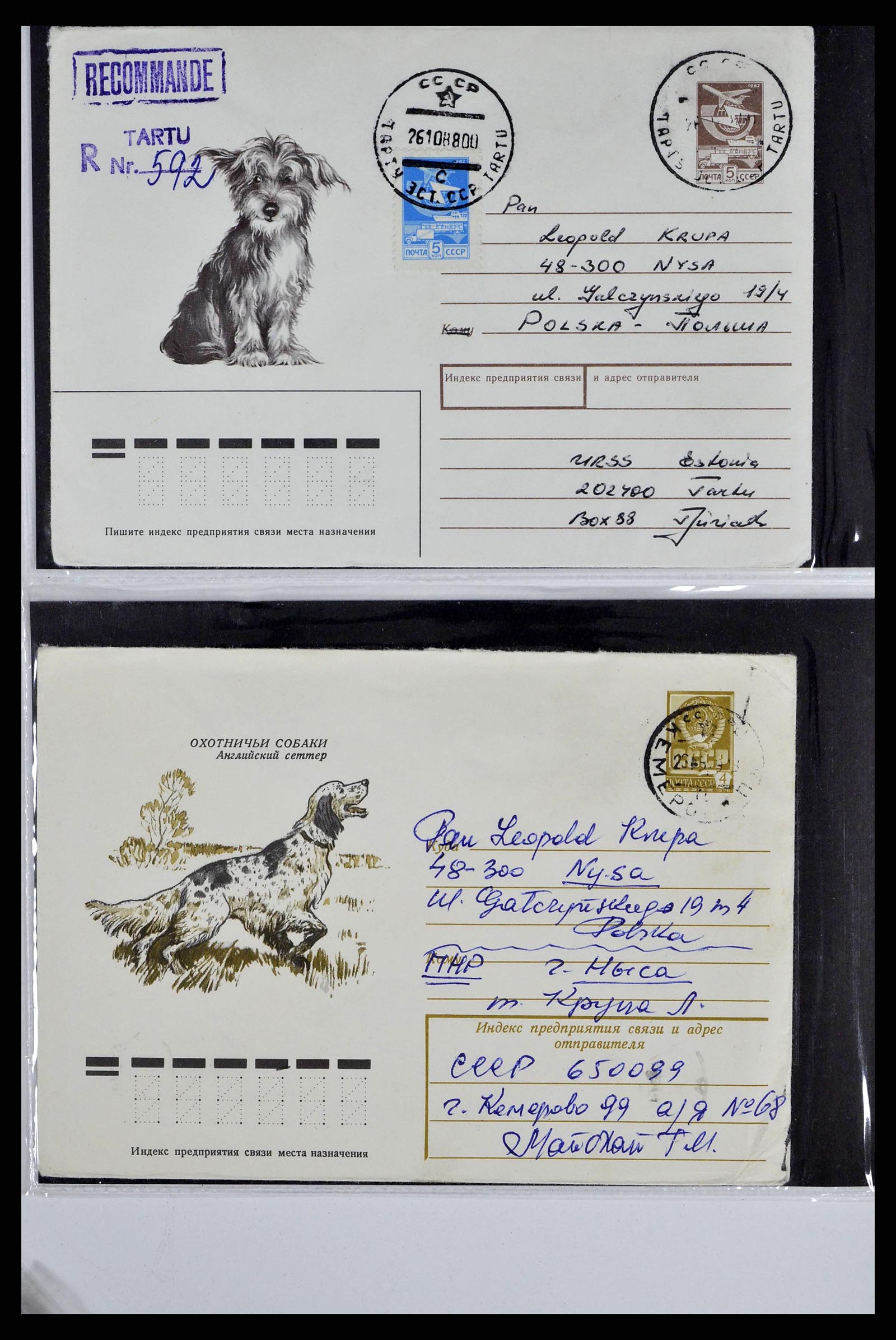37673 0076 - Stamp collection 37673 Thematics dogs covers 1900-2000.