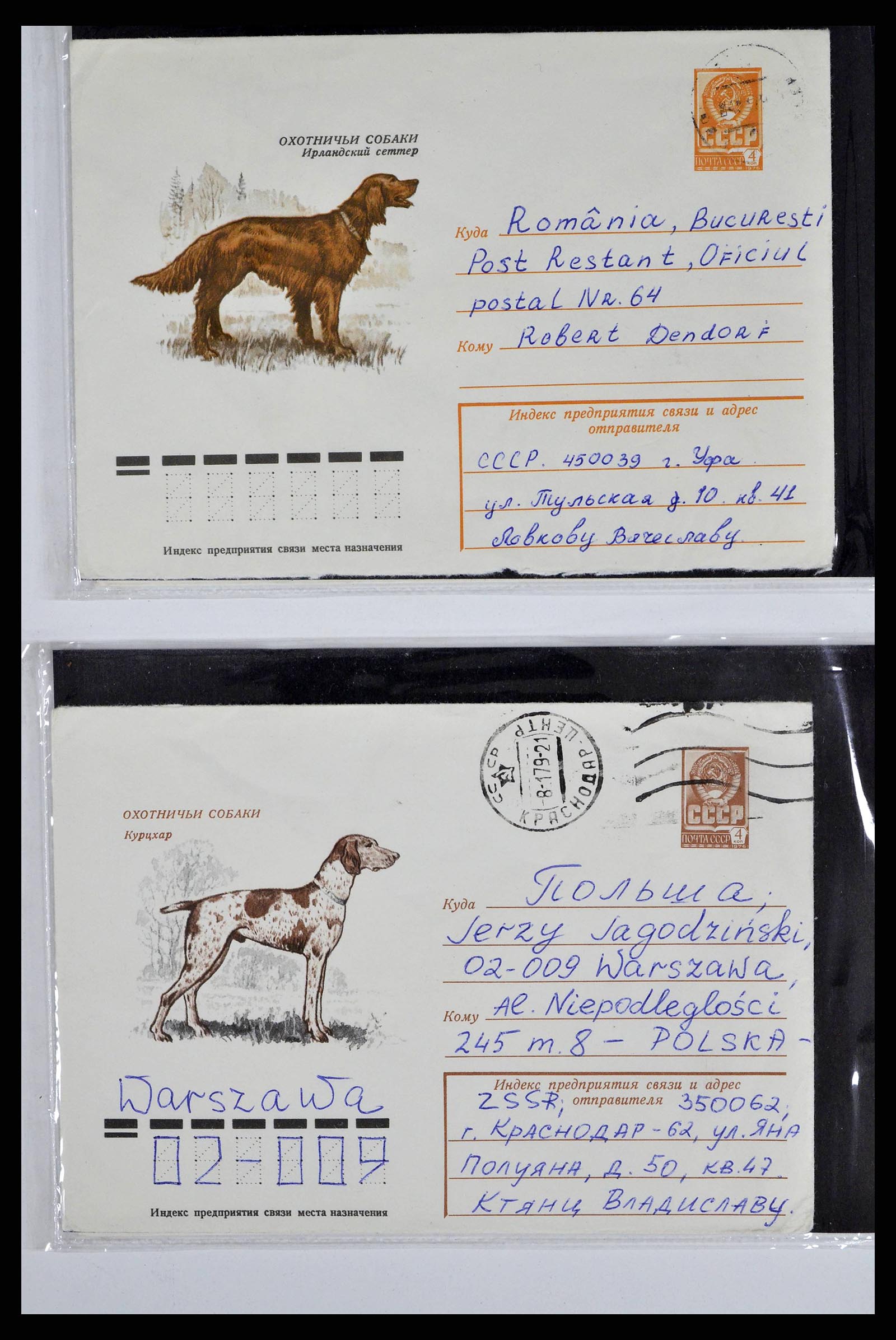 37673 0078 - Stamp collection 37673 Thematics dogs covers 1900-2000.
