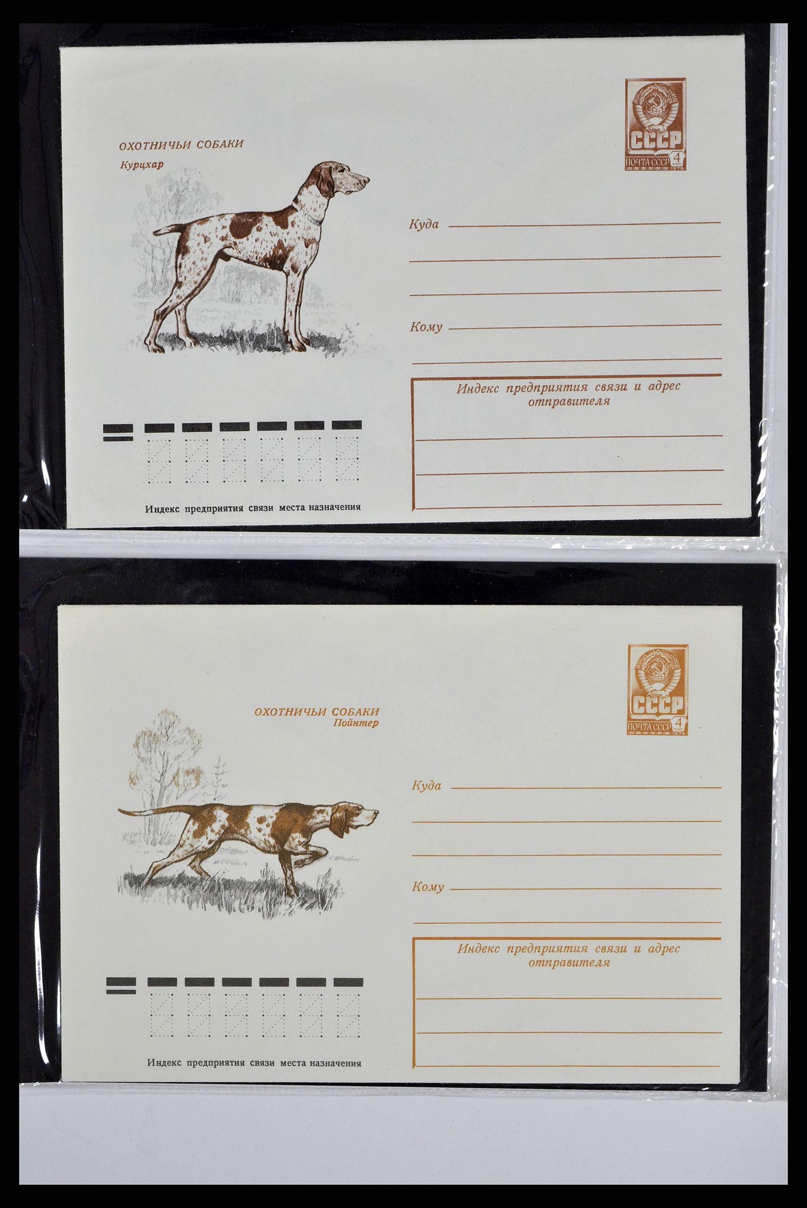 37673 0079 - Stamp collection 37673 Thematics dogs covers 1900-2000.