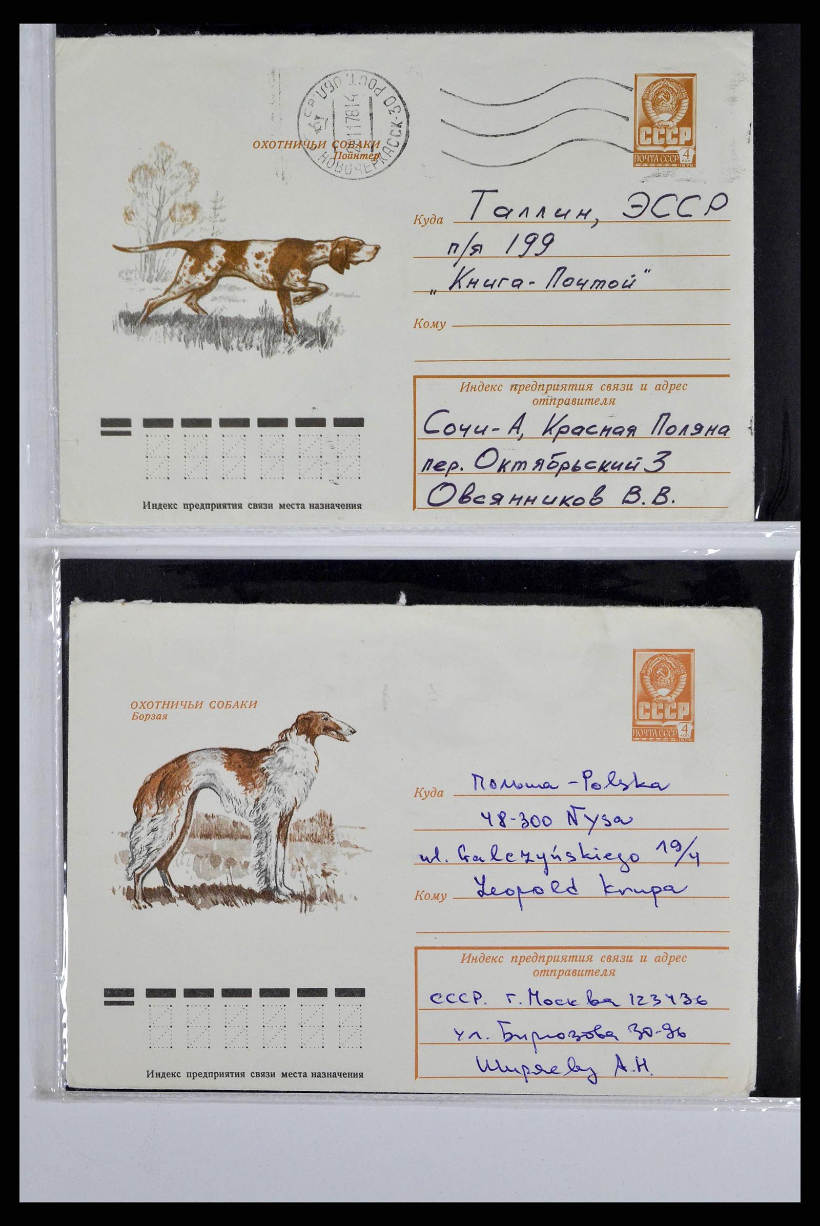 37673 0080 - Stamp collection 37673 Thematics dogs covers 1900-2000.