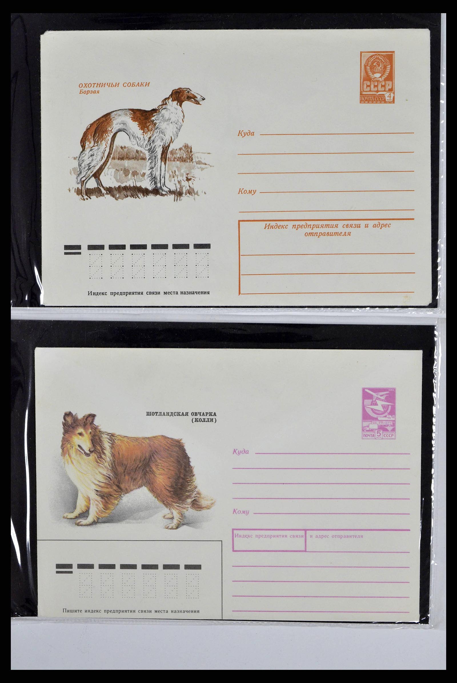 37673 0081 - Stamp collection 37673 Thematics dogs covers 1900-2000.