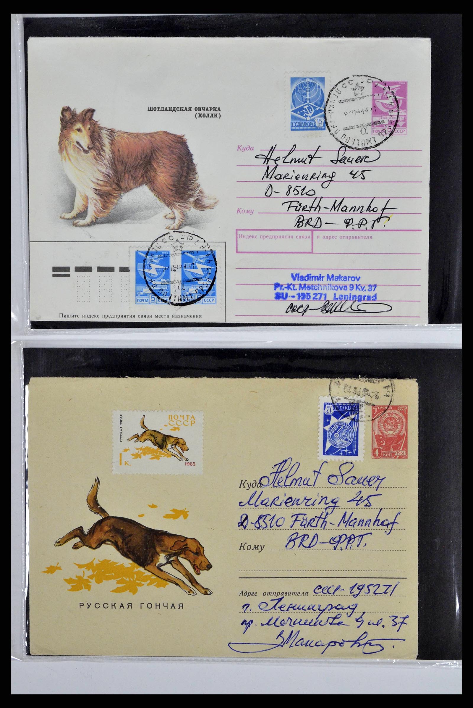 37673 0082 - Stamp collection 37673 Thematics dogs covers 1900-2000.