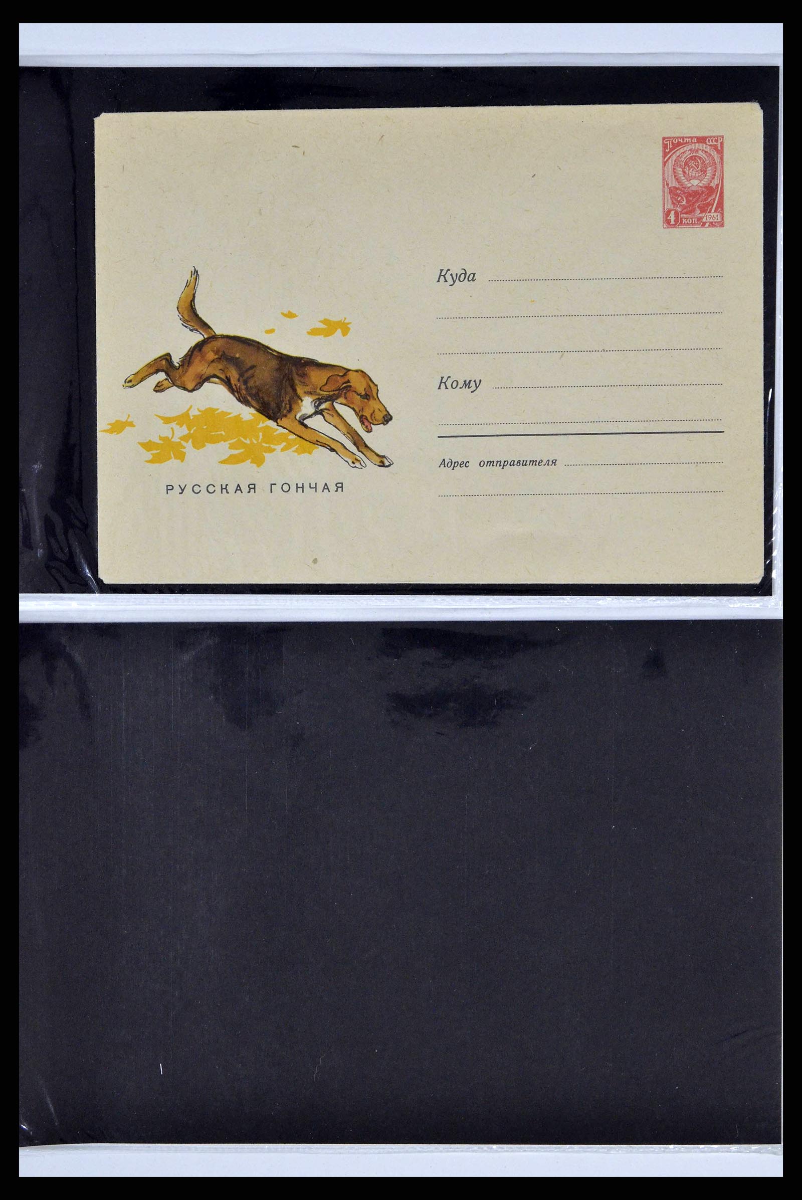 37673 0083 - Stamp collection 37673 Thematics dogs covers 1900-2000.