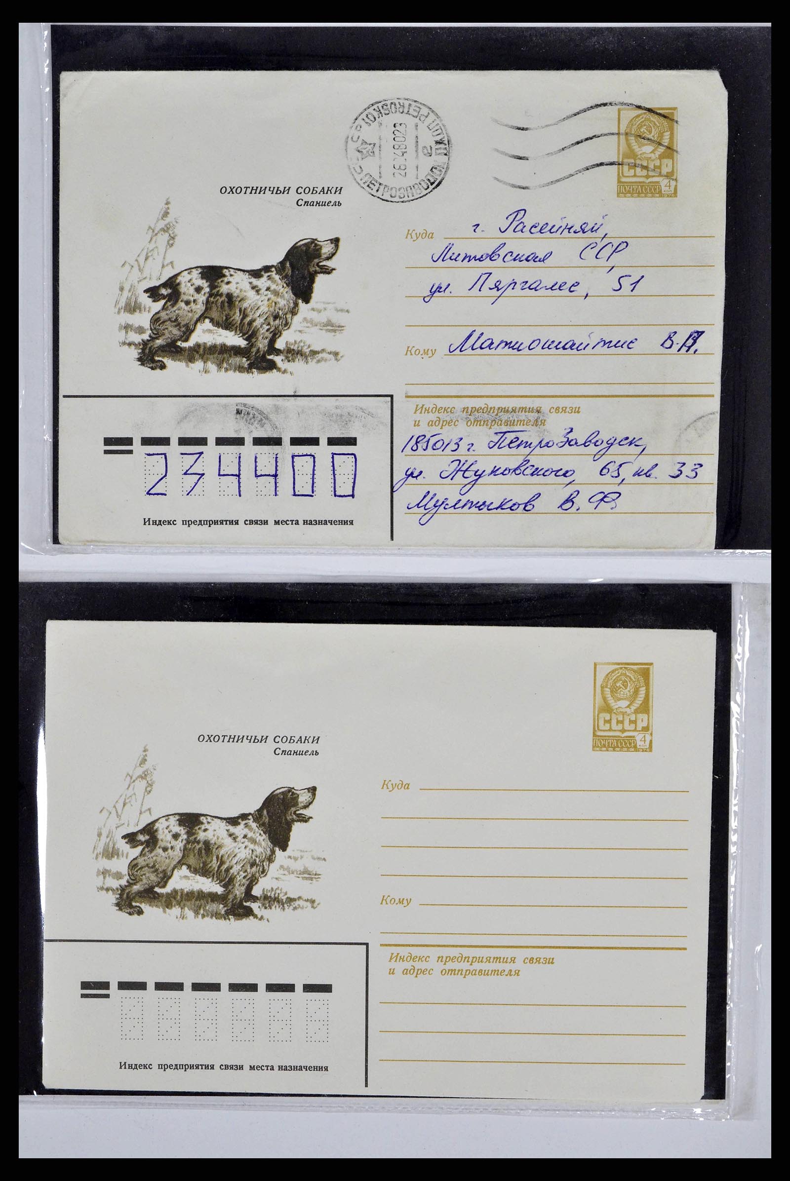 37673 0084 - Stamp collection 37673 Thematics dogs covers 1900-2000.