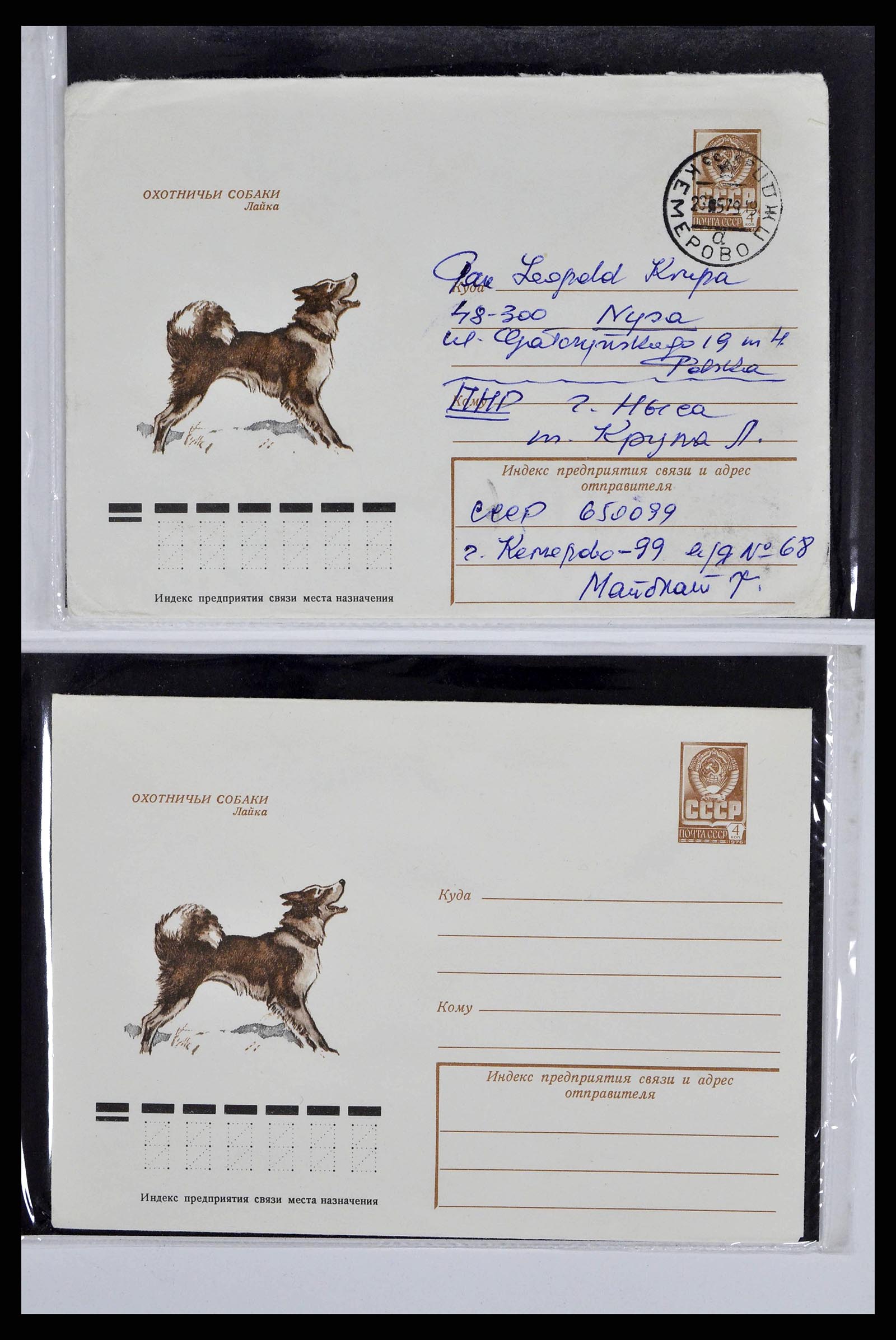 37673 0085 - Stamp collection 37673 Thematics dogs covers 1900-2000.