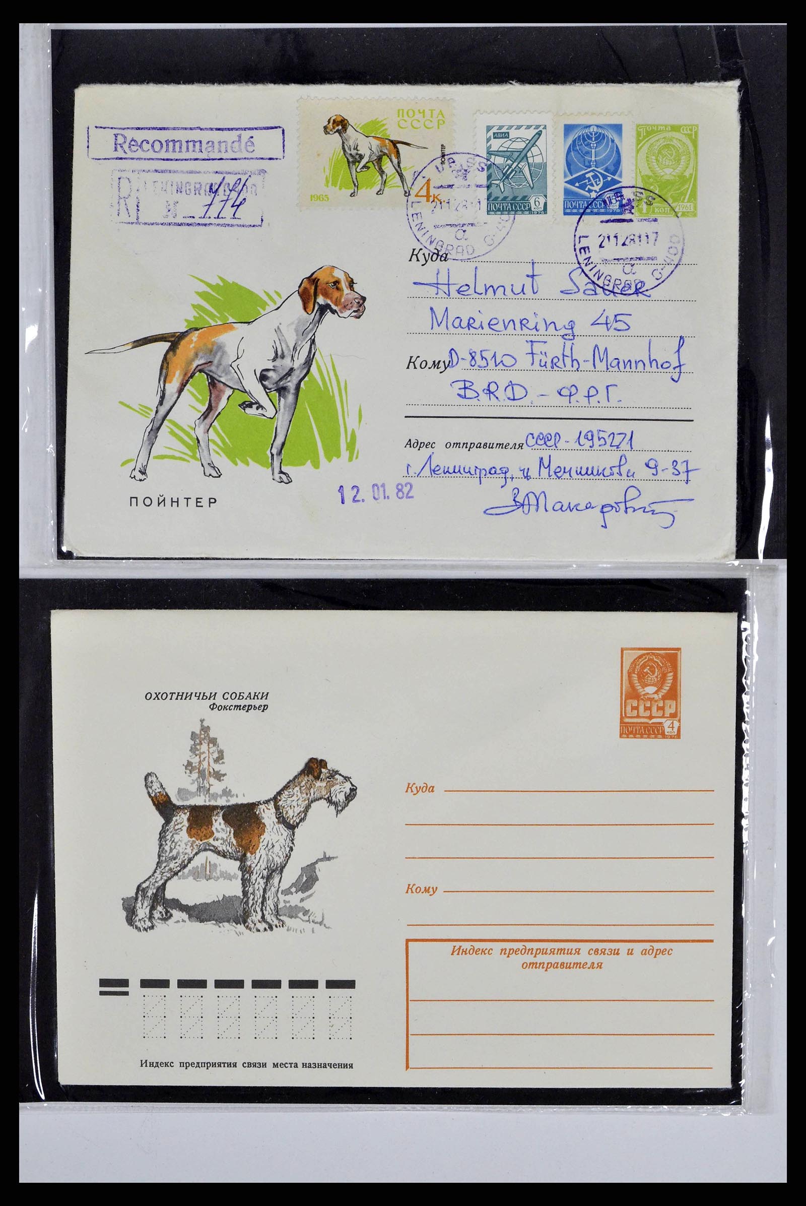 37673 0086 - Stamp collection 37673 Thematics dogs covers 1900-2000.