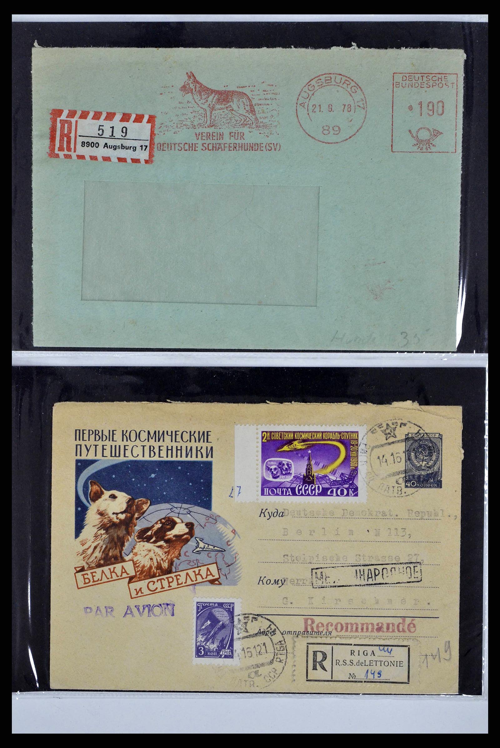 37673 0095 - Stamp collection 37673 Thematics dogs covers 1900-2000.