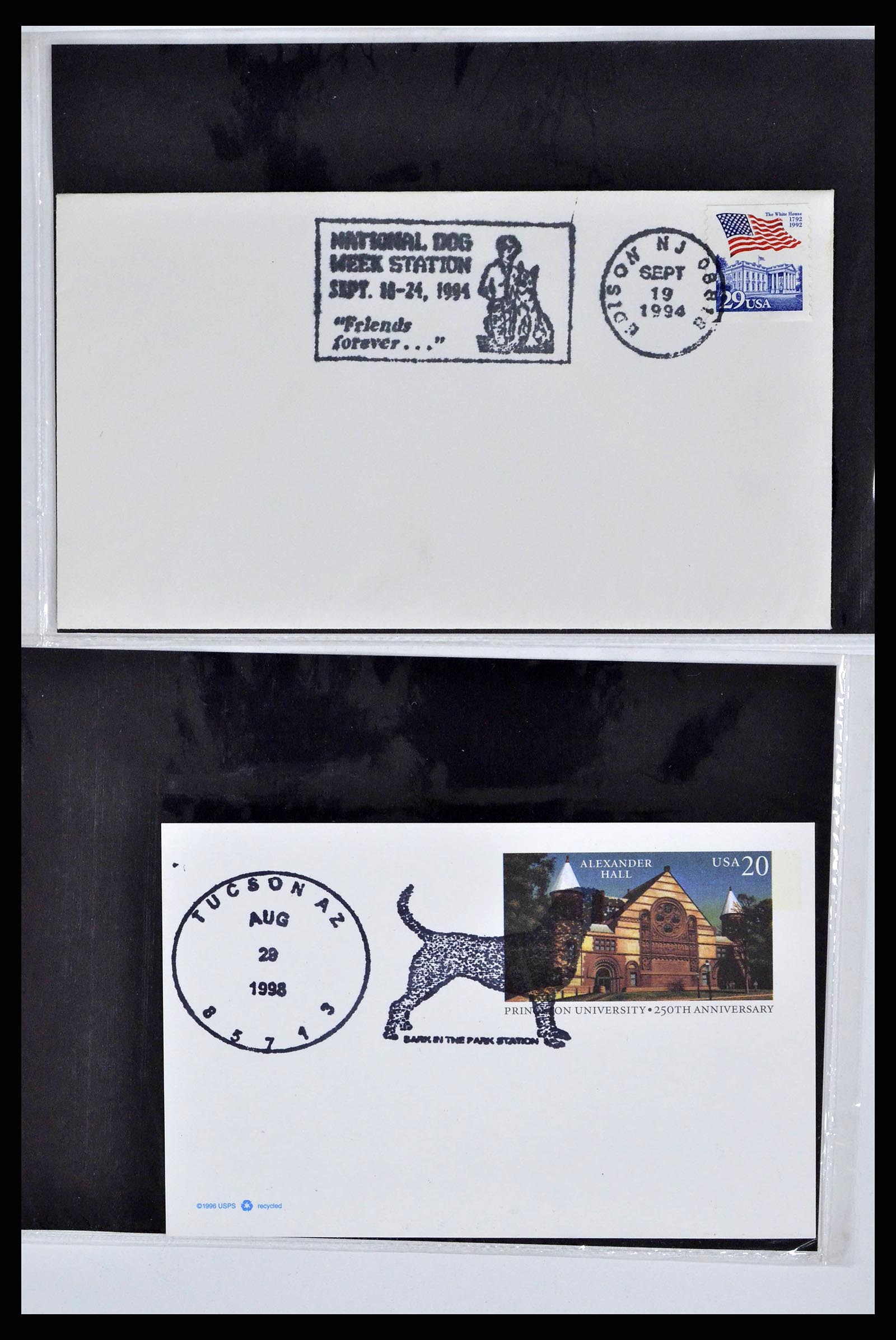 37673 0099 - Stamp collection 37673 Thematics dogs covers 1900-2000.