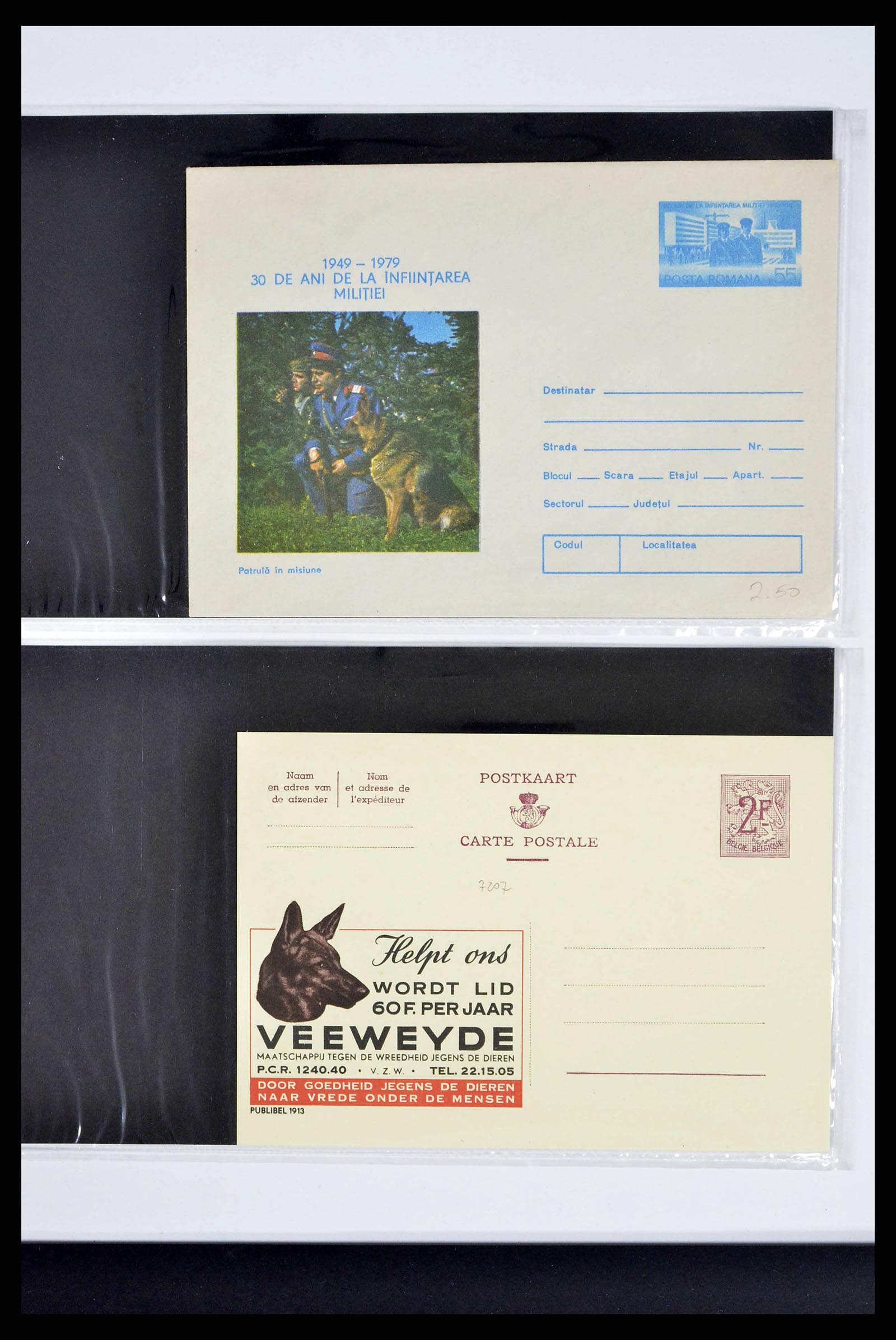 37673 0281 - Stamp collection 37673 Thematics dogs covers 1900-2000.