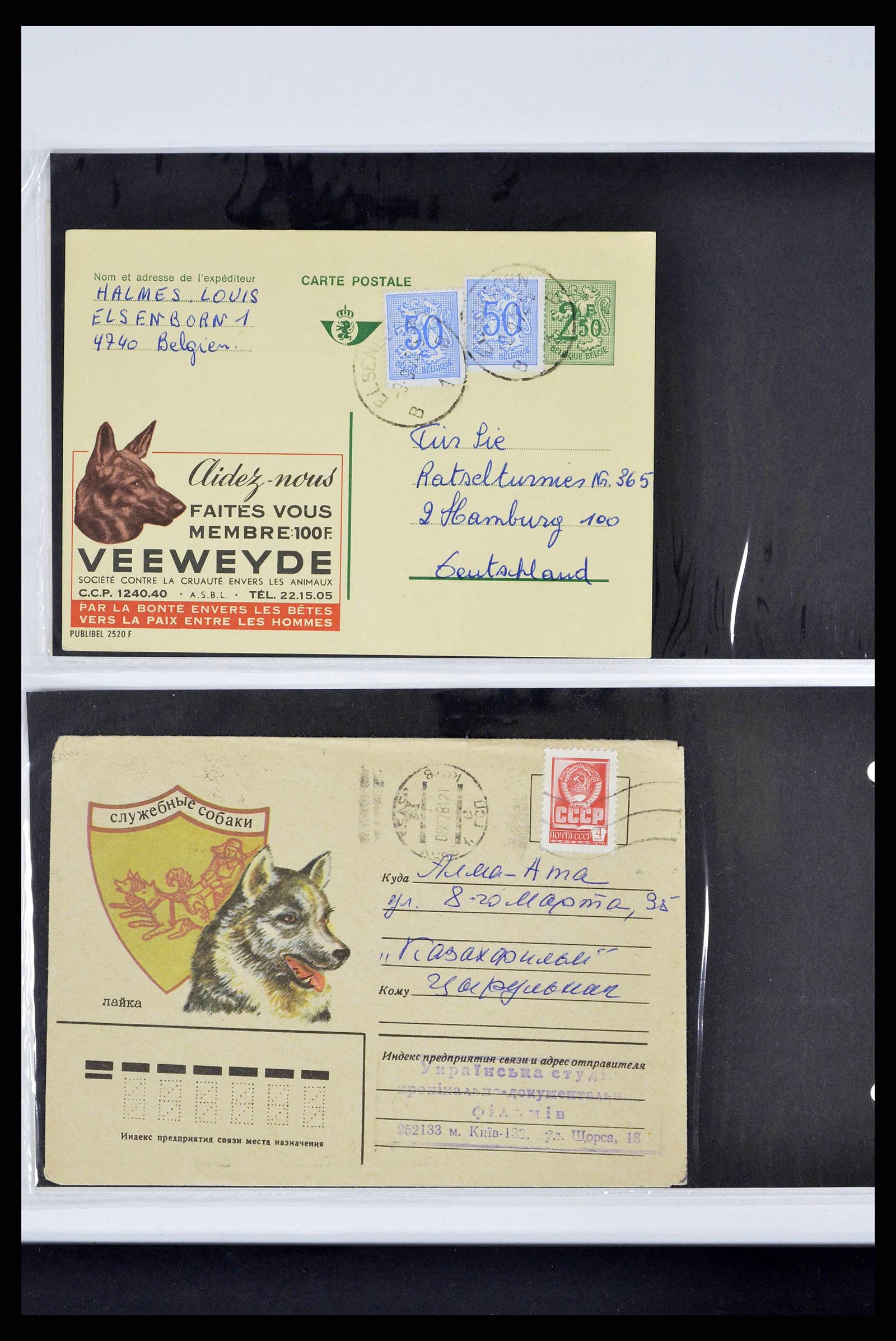 37673 0282 - Stamp collection 37673 Thematics dogs covers 1900-2000.