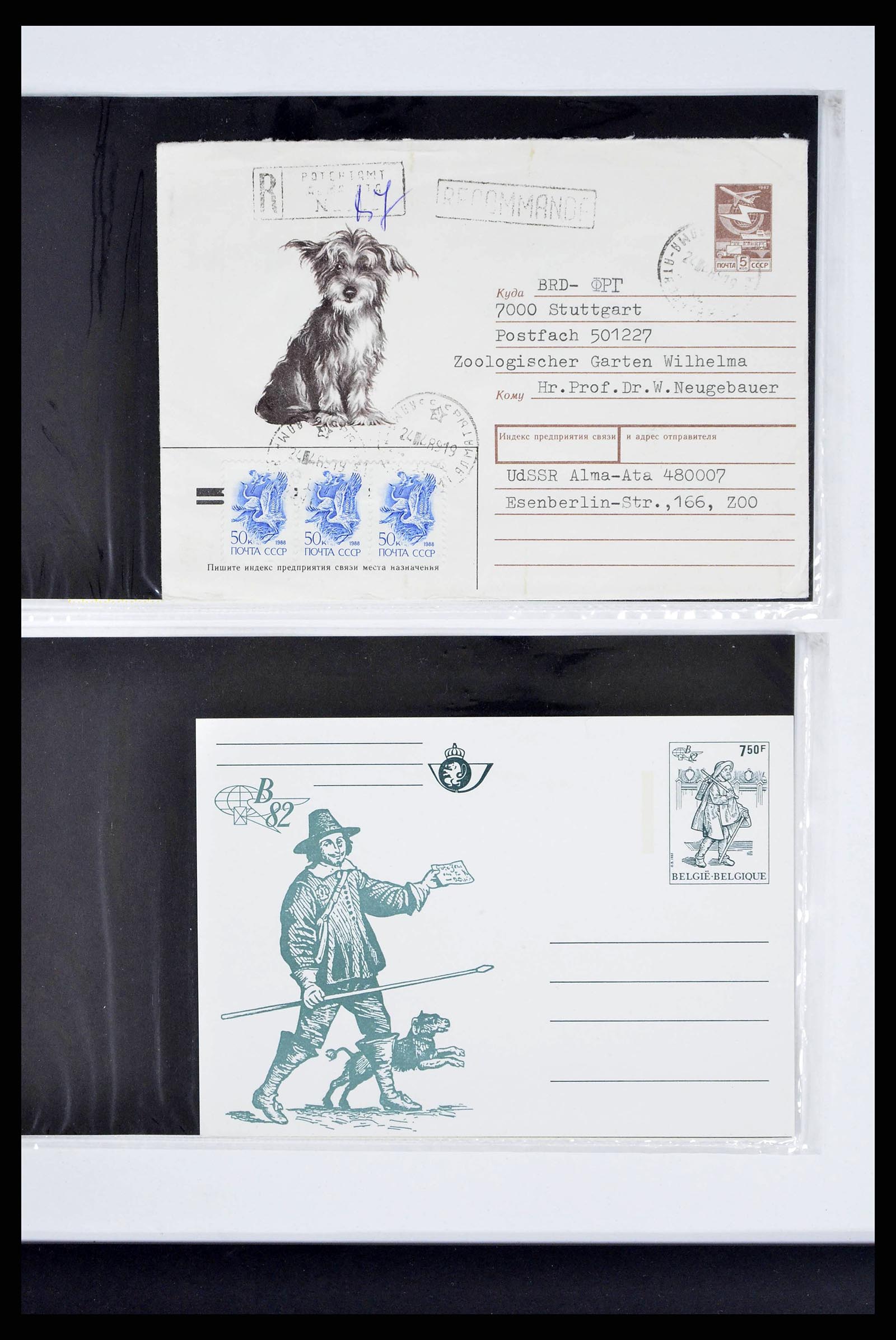 37673 0283 - Stamp collection 37673 Thematics dogs covers 1900-2000.
