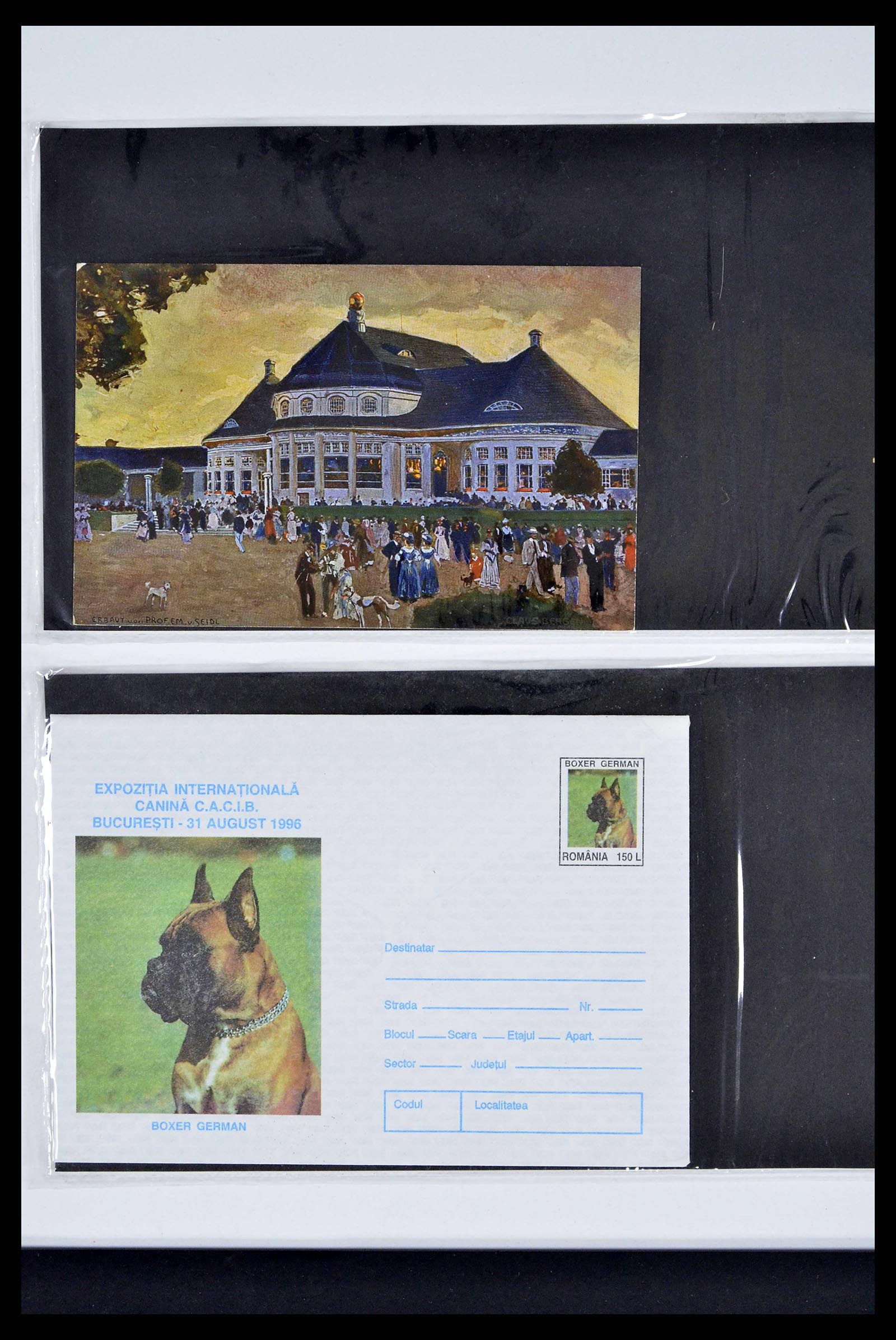 37673 0288 - Stamp collection 37673 Thematics dogs covers 1900-2000.