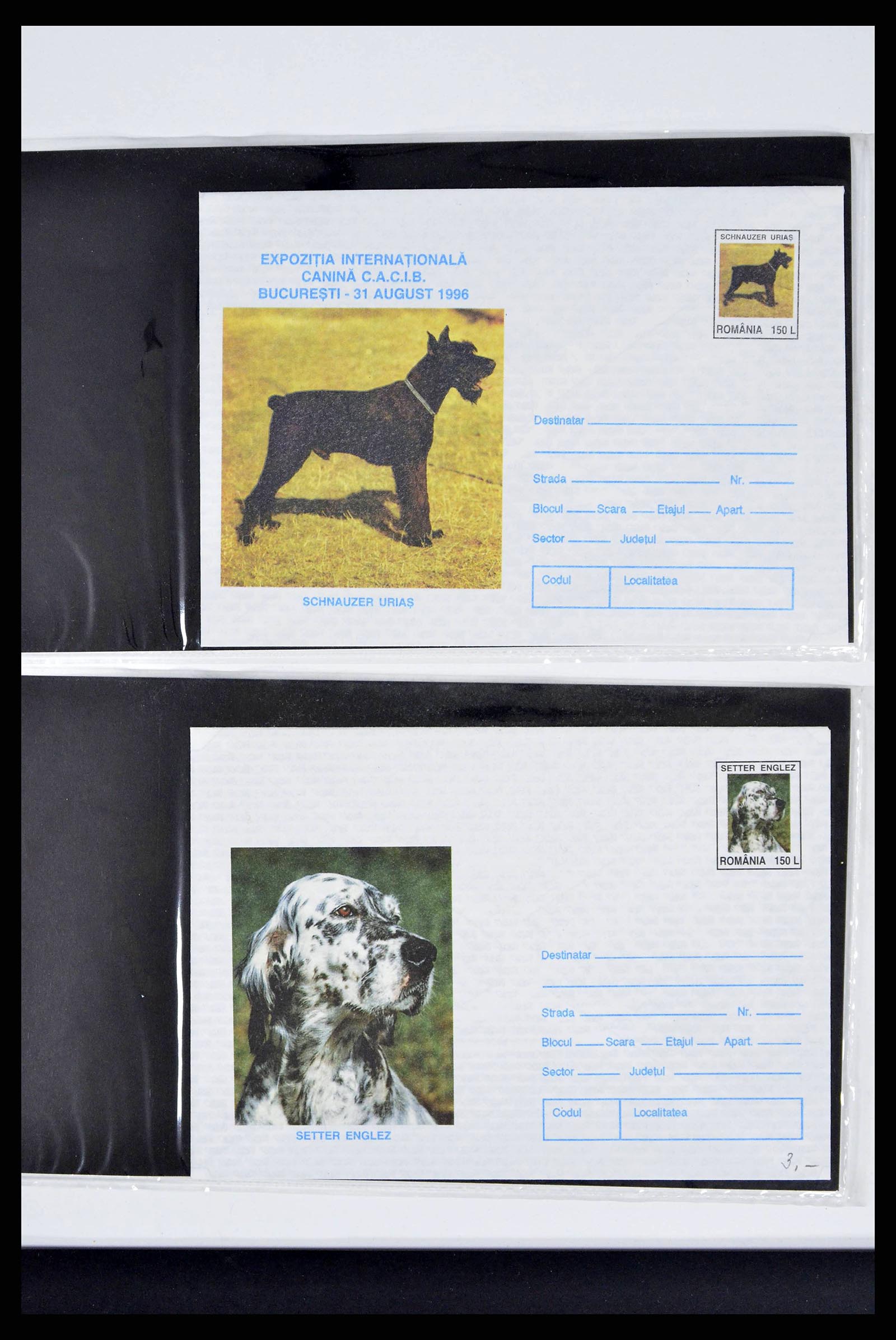 37673 0289 - Stamp collection 37673 Thematics dogs covers 1900-2000.
