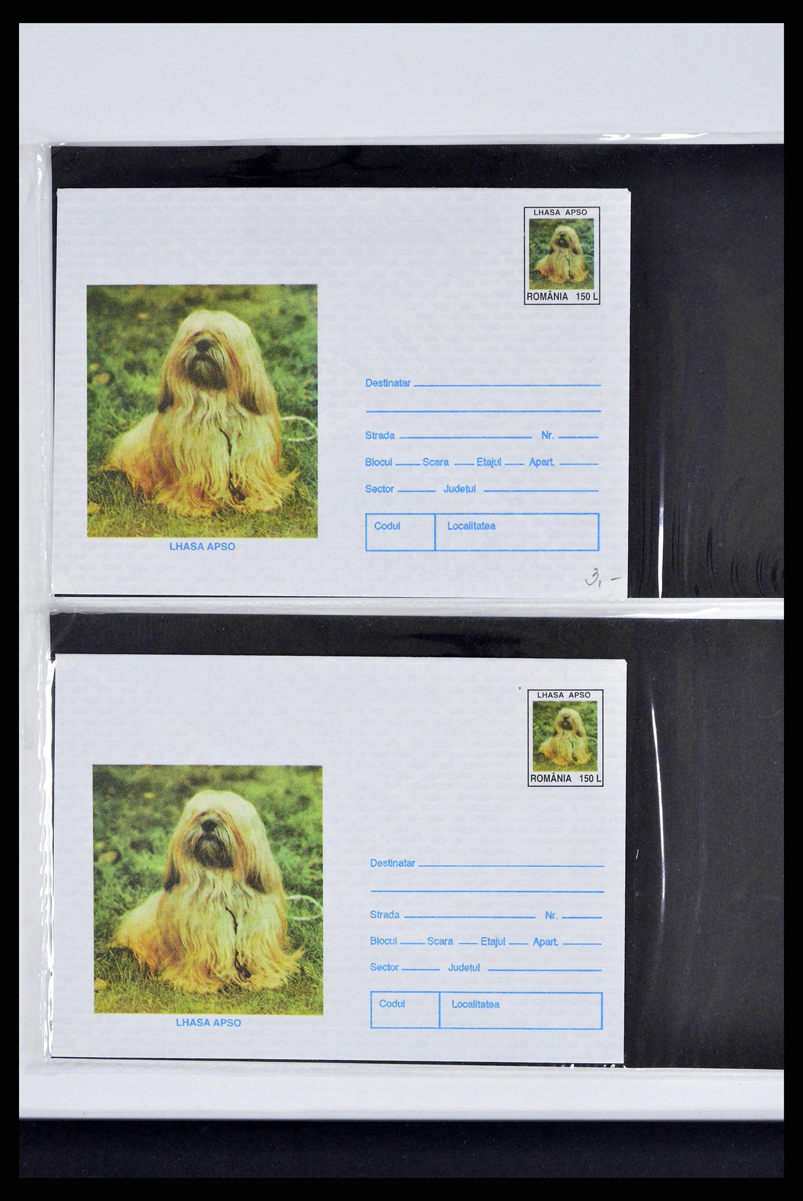 37673 0290 - Stamp collection 37673 Thematics dogs covers 1900-2000.
