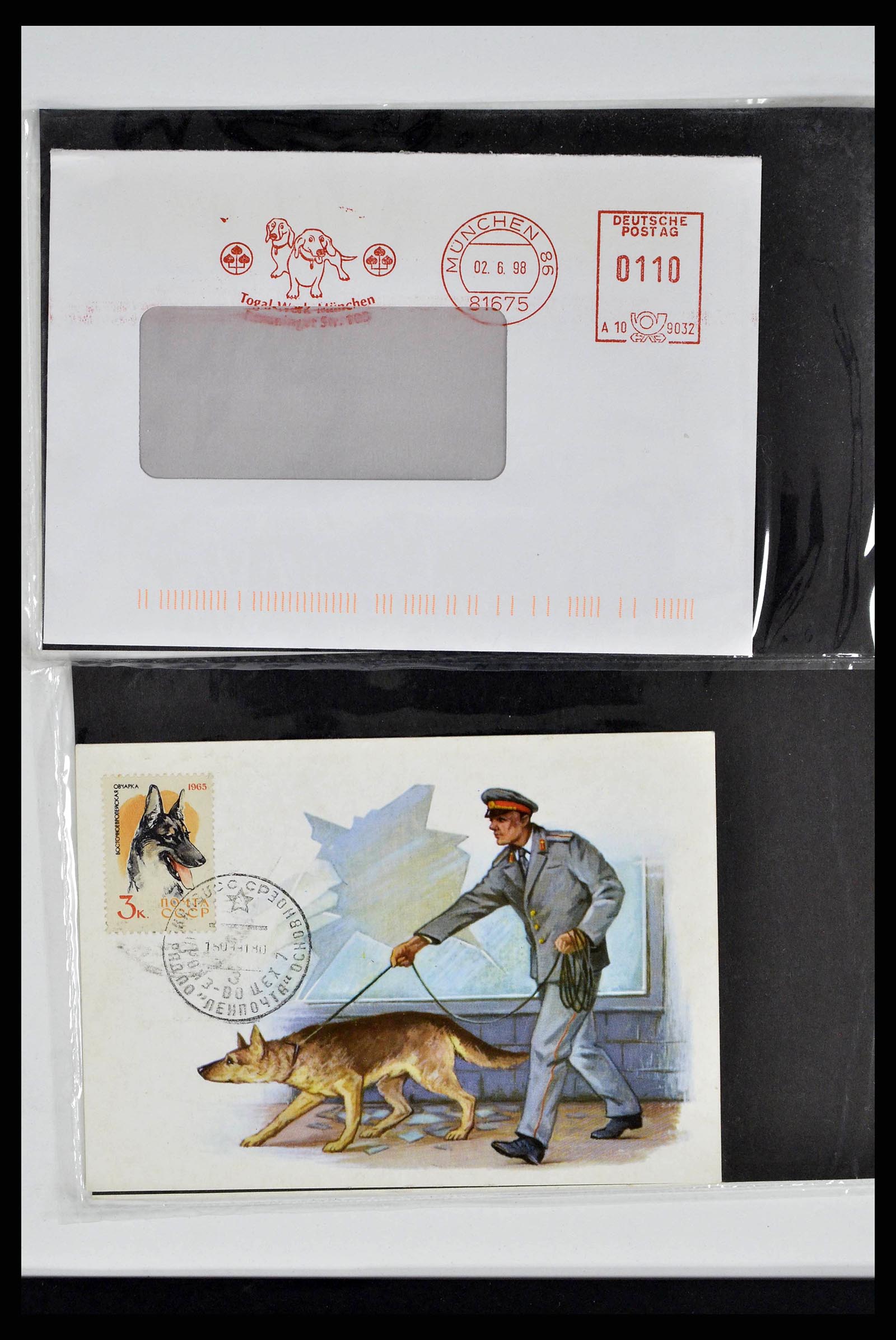 37673 0296 - Stamp collection 37673 Thematics dogs covers 1900-2000.