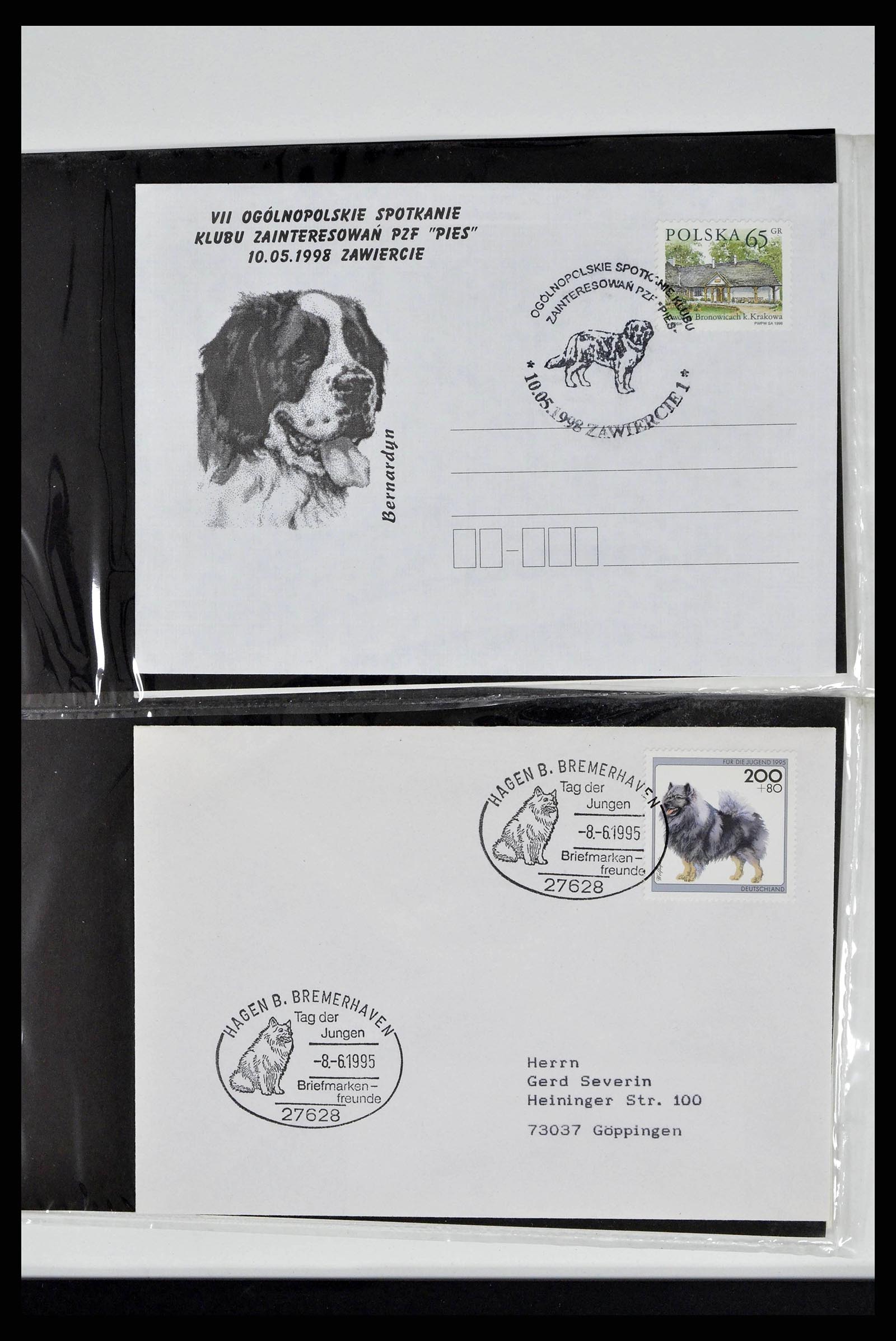 37673 0299 - Stamp collection 37673 Thematics dogs covers 1900-2000.