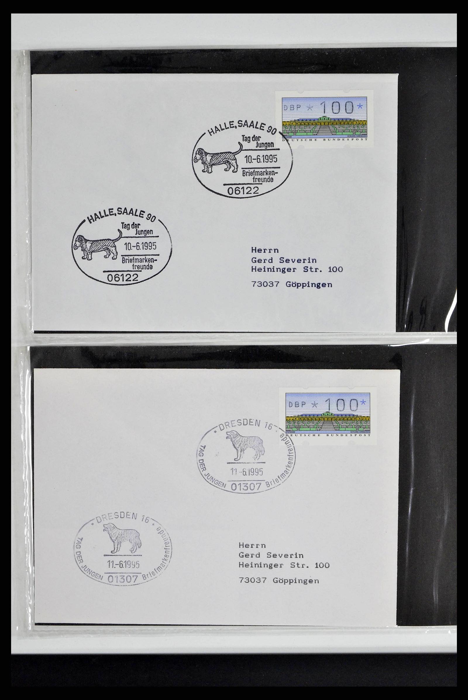 37673 0302 - Stamp collection 37673 Thematics dogs covers 1900-2000.