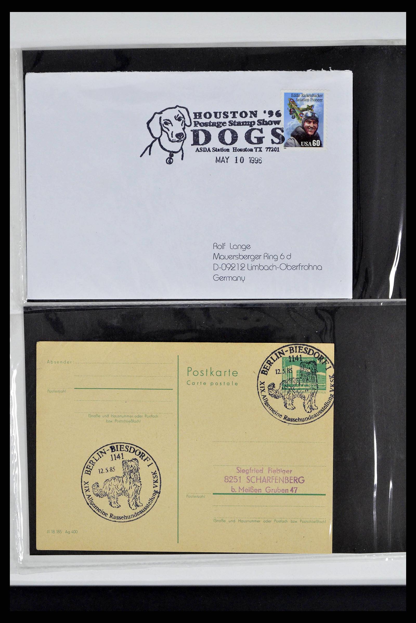 37673 0308 - Stamp collection 37673 Thematics dogs covers 1900-2000.