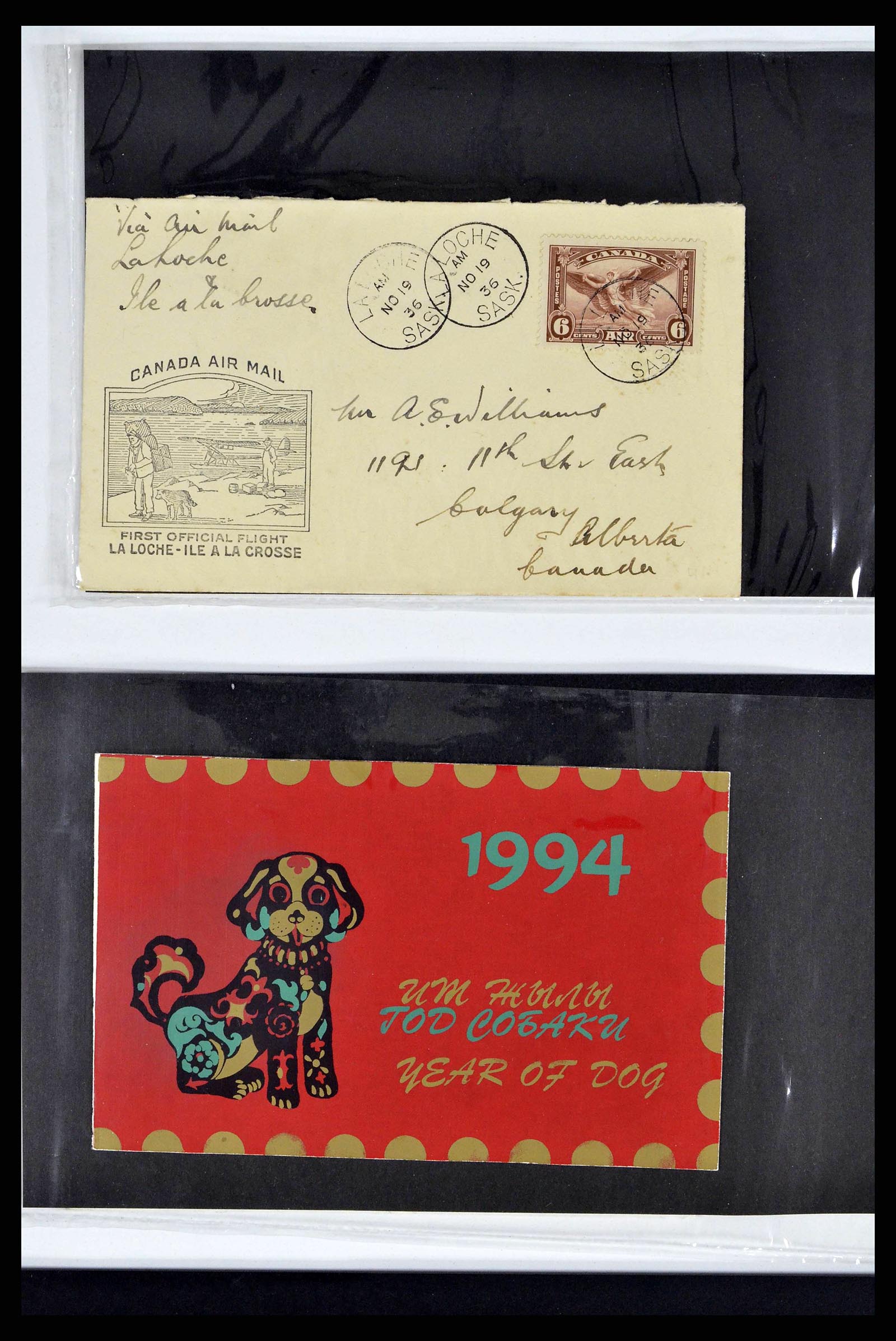 37673 0310 - Stamp collection 37673 Thematics dogs covers 1900-2000.