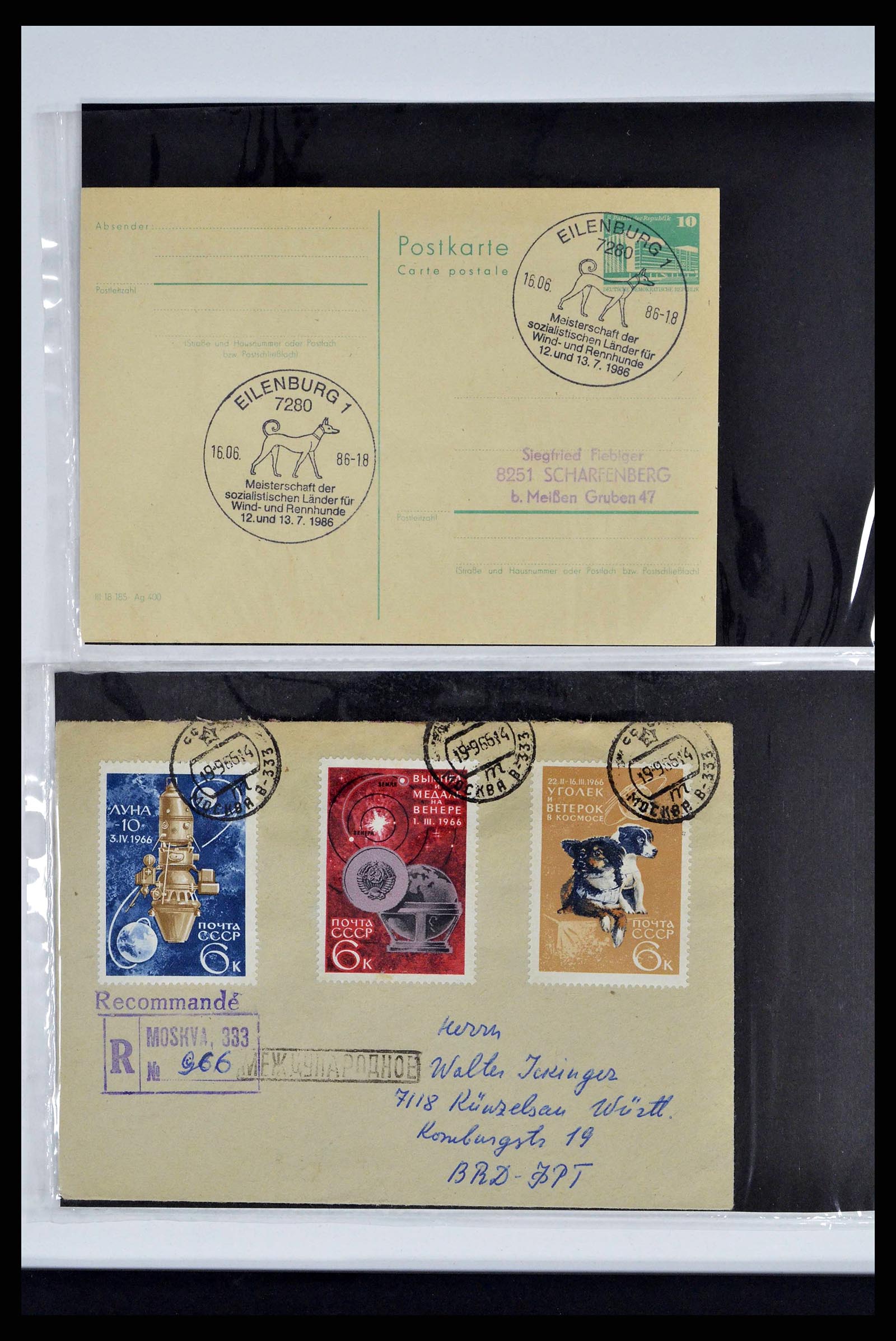 37673 0314 - Stamp collection 37673 Thematics dogs covers 1900-2000.