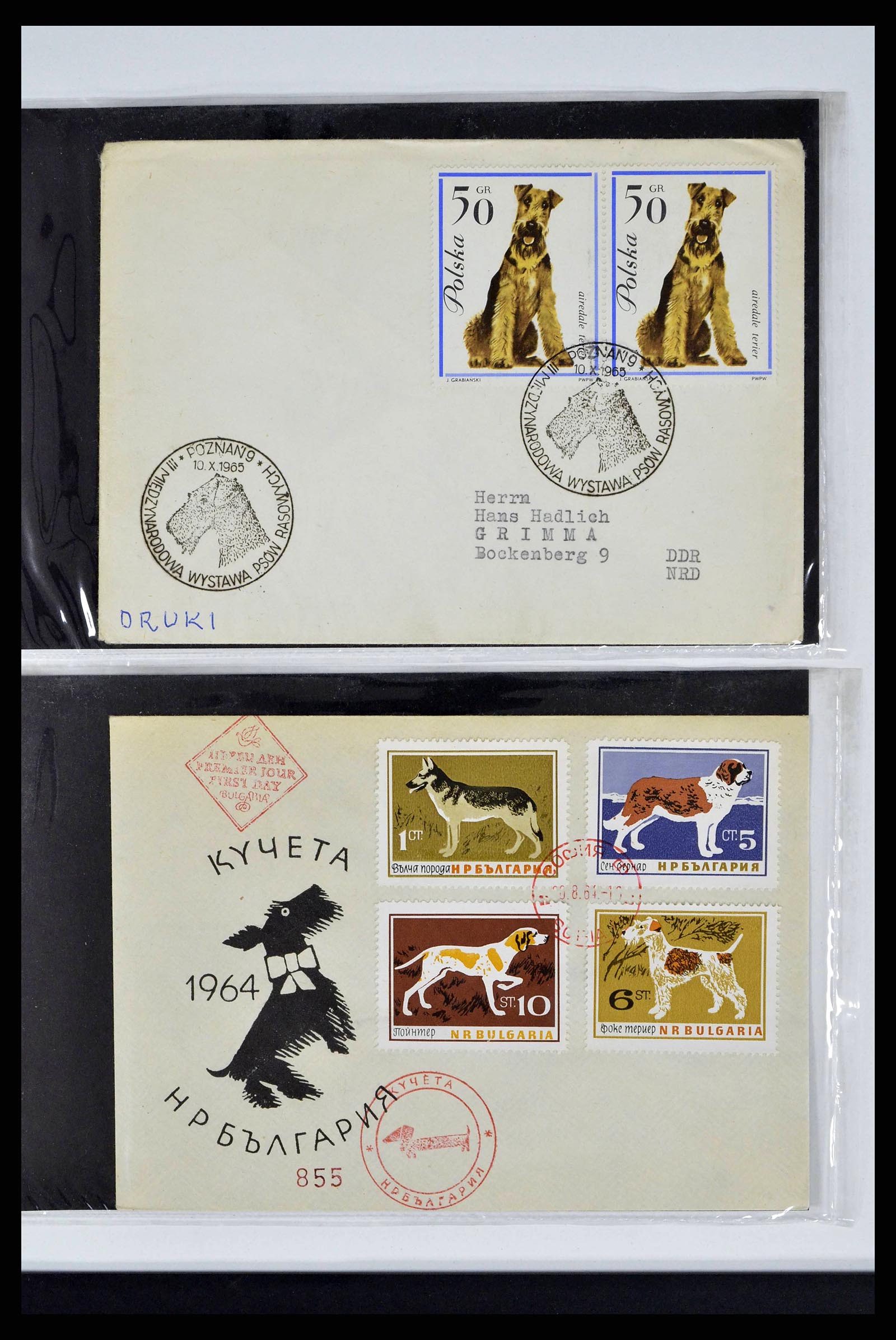 37673 0317 - Stamp collection 37673 Thematics dogs covers 1900-2000.