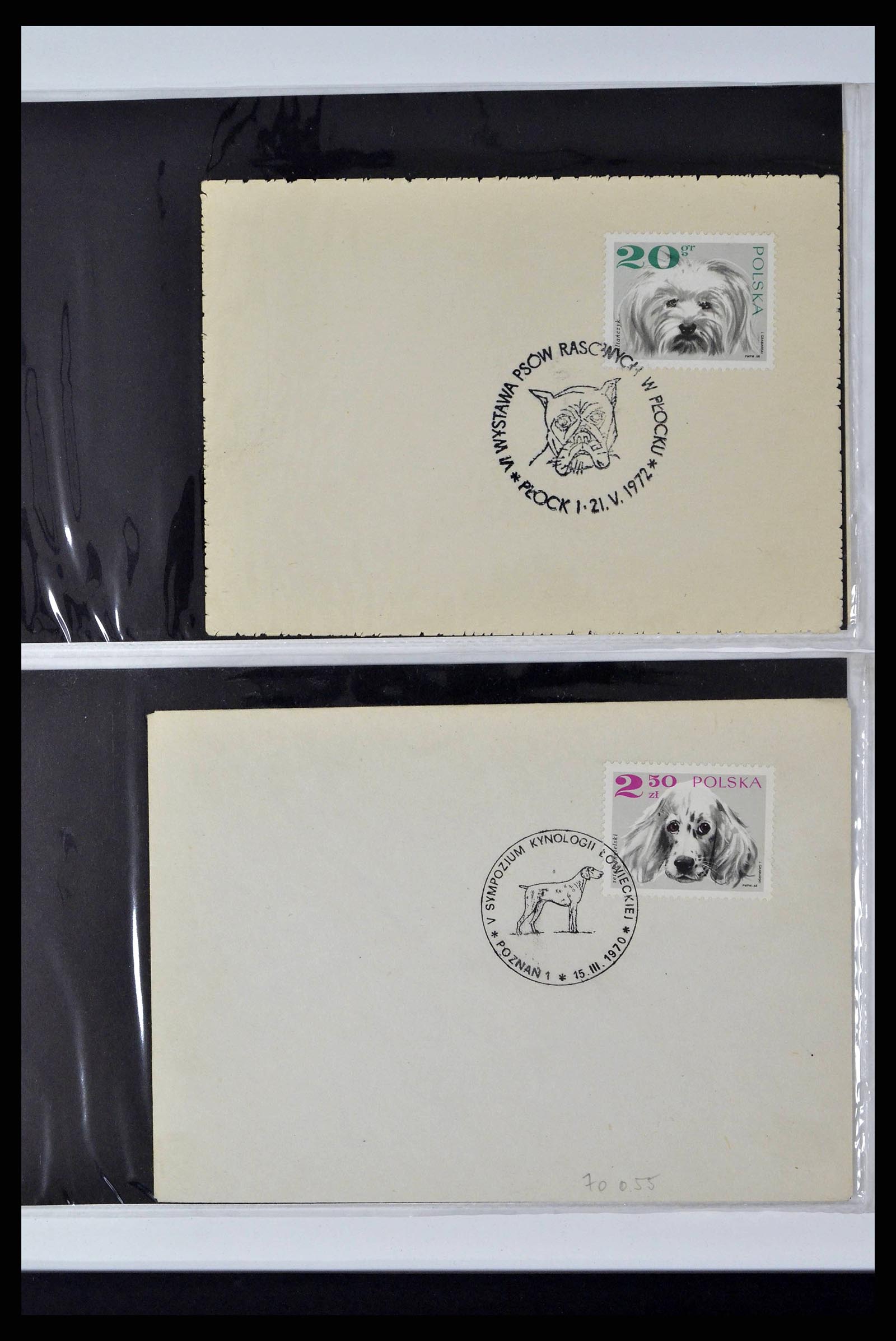 37673 0319 - Stamp collection 37673 Thematics dogs covers 1900-2000.