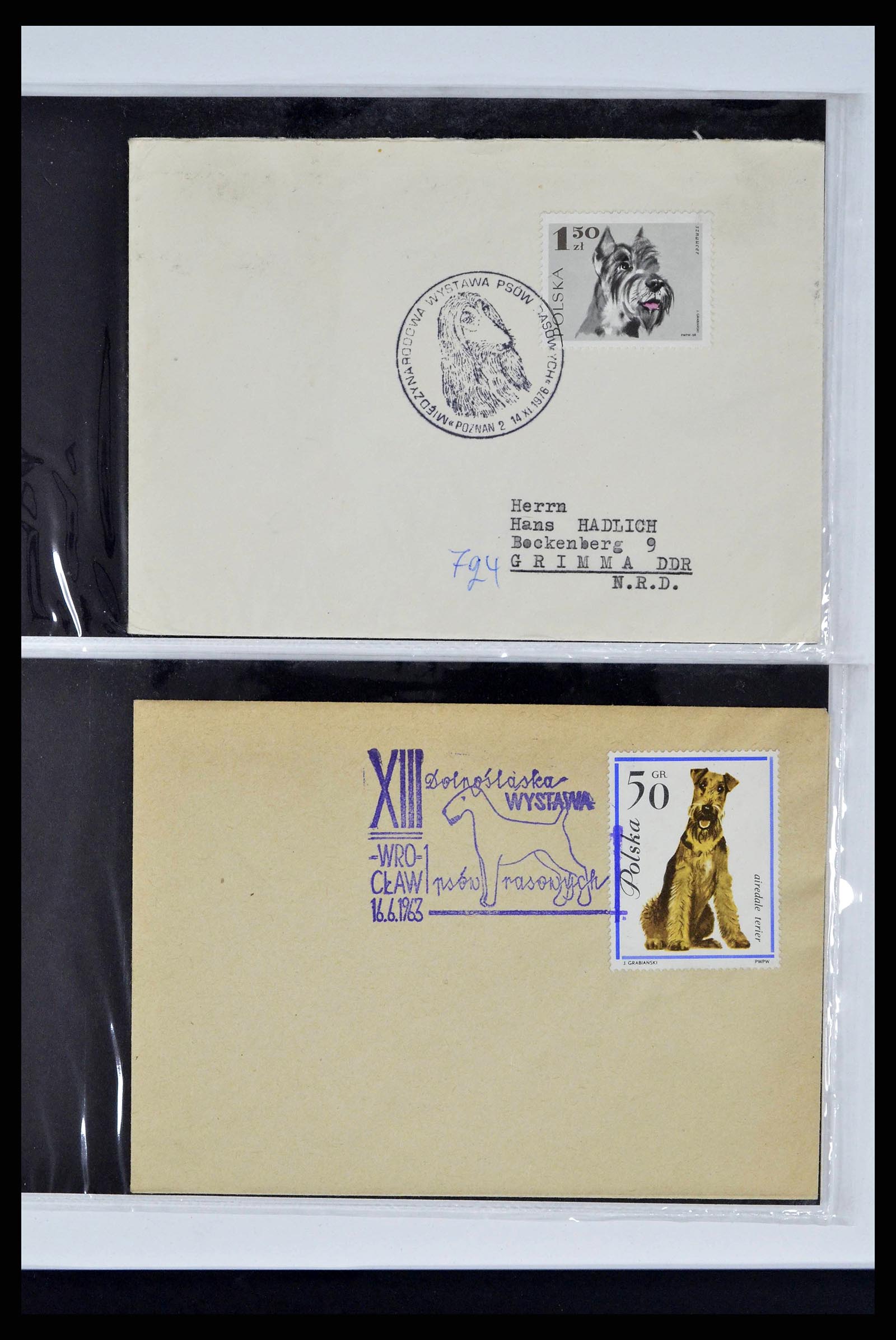 37673 0321 - Stamp collection 37673 Thematics dogs covers 1900-2000.