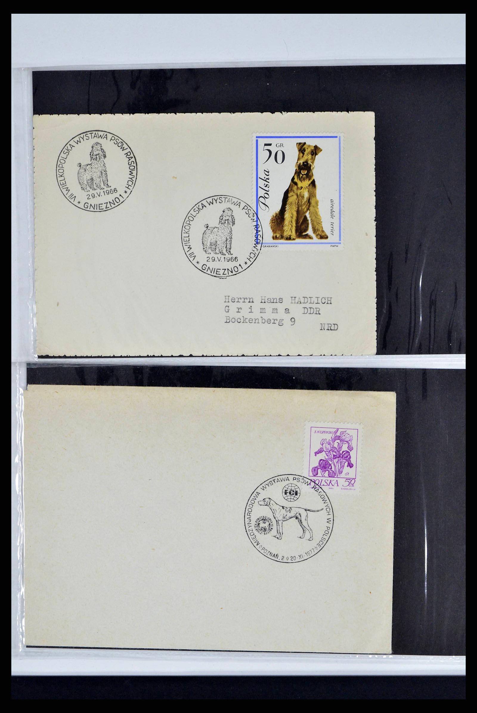37673 0322 - Stamp collection 37673 Thematics dogs covers 1900-2000.