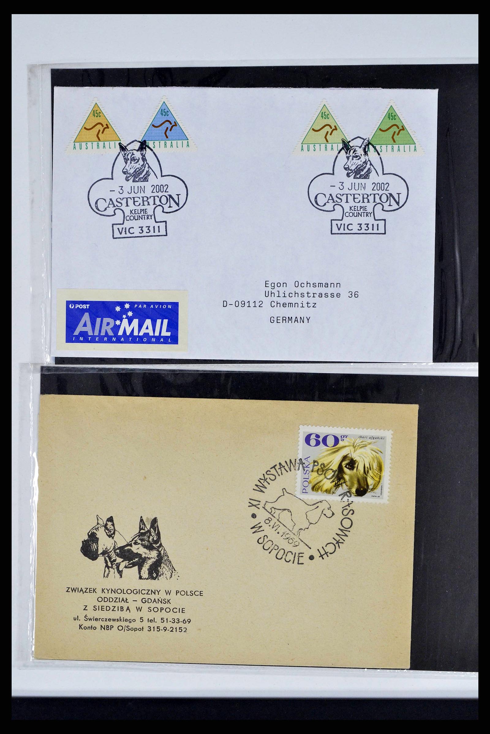 37673 0324 - Stamp collection 37673 Thematics dogs covers 1900-2000.